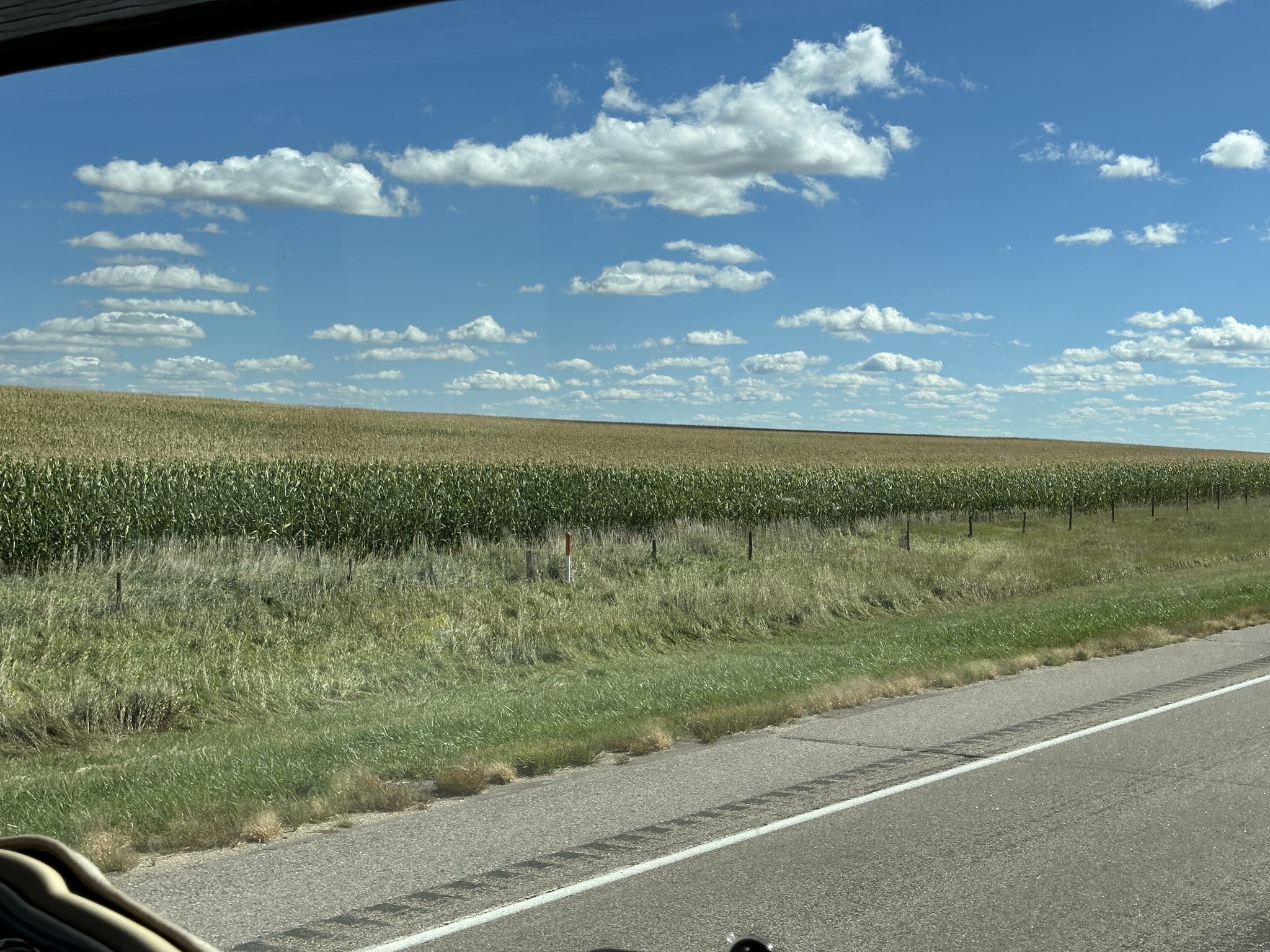 So many fields of corn