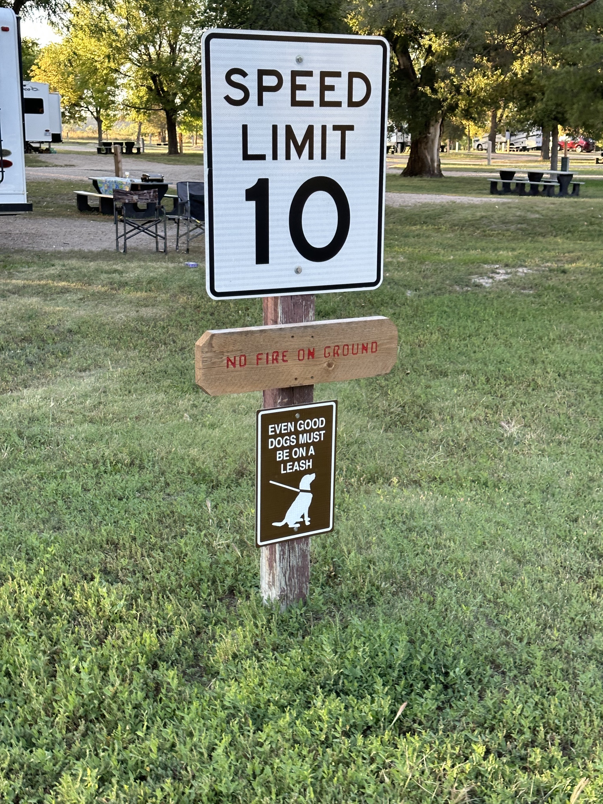 Even good dogs must be on a leash