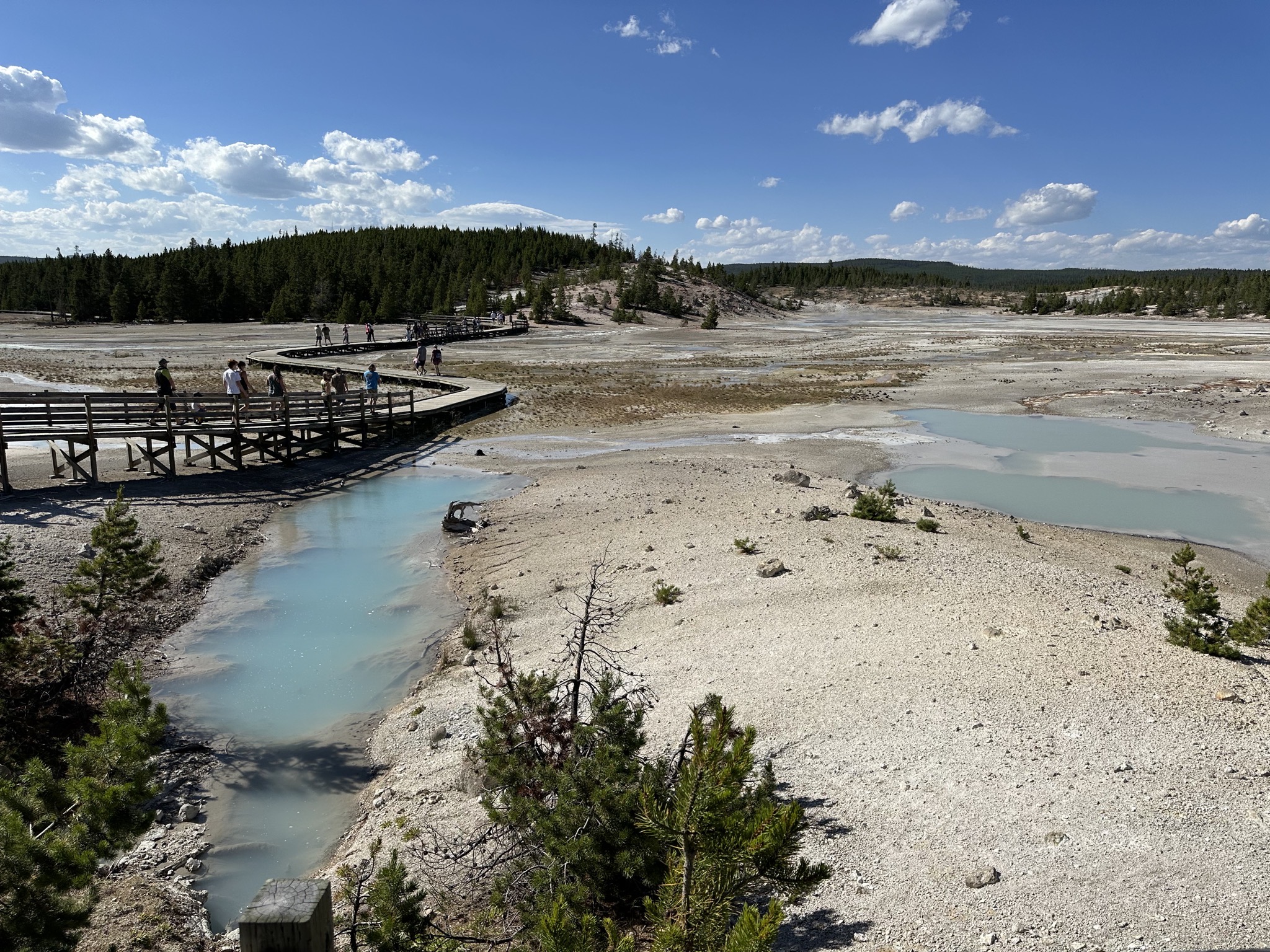 Norris Geyser Basin