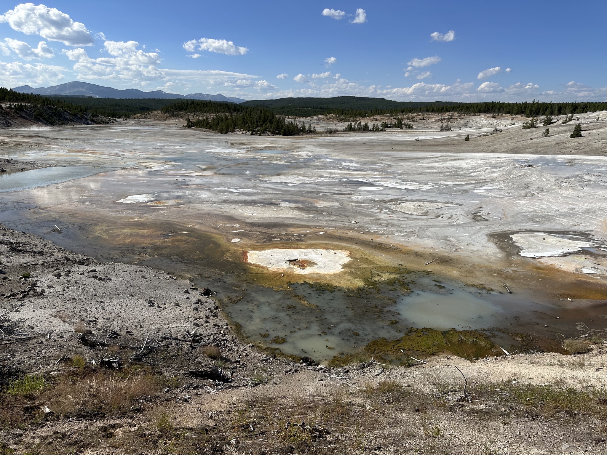 Norris Geyser Basin
