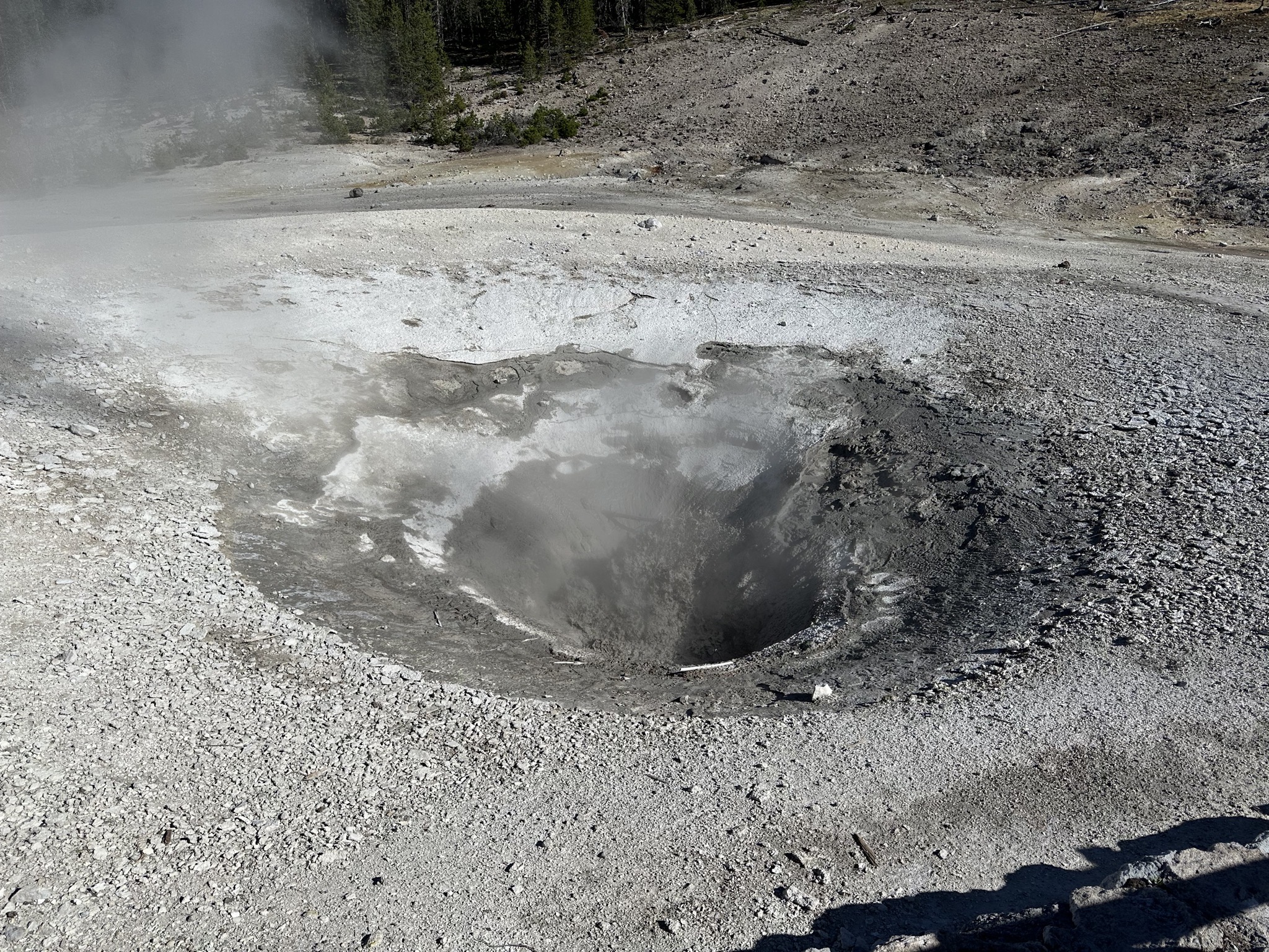 Norris Geyser Basin