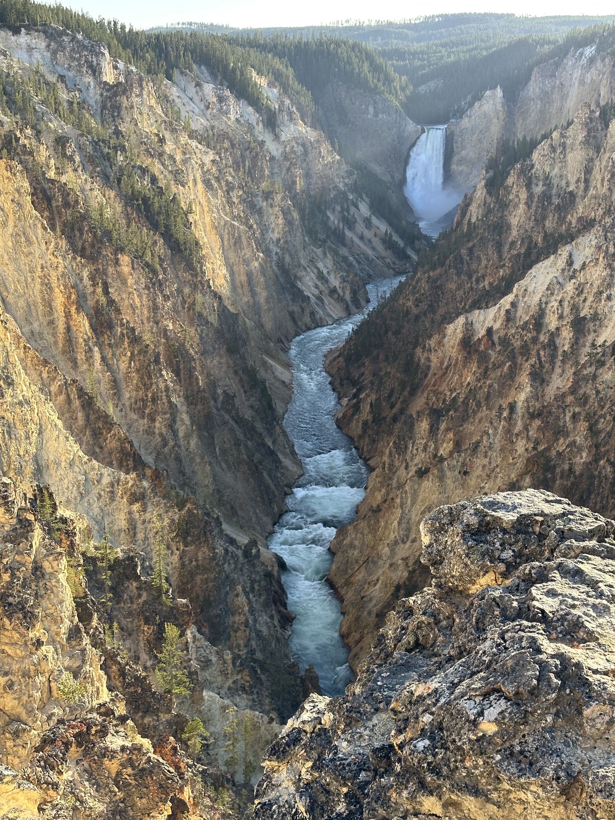 Grand Canyon of Yellowstone