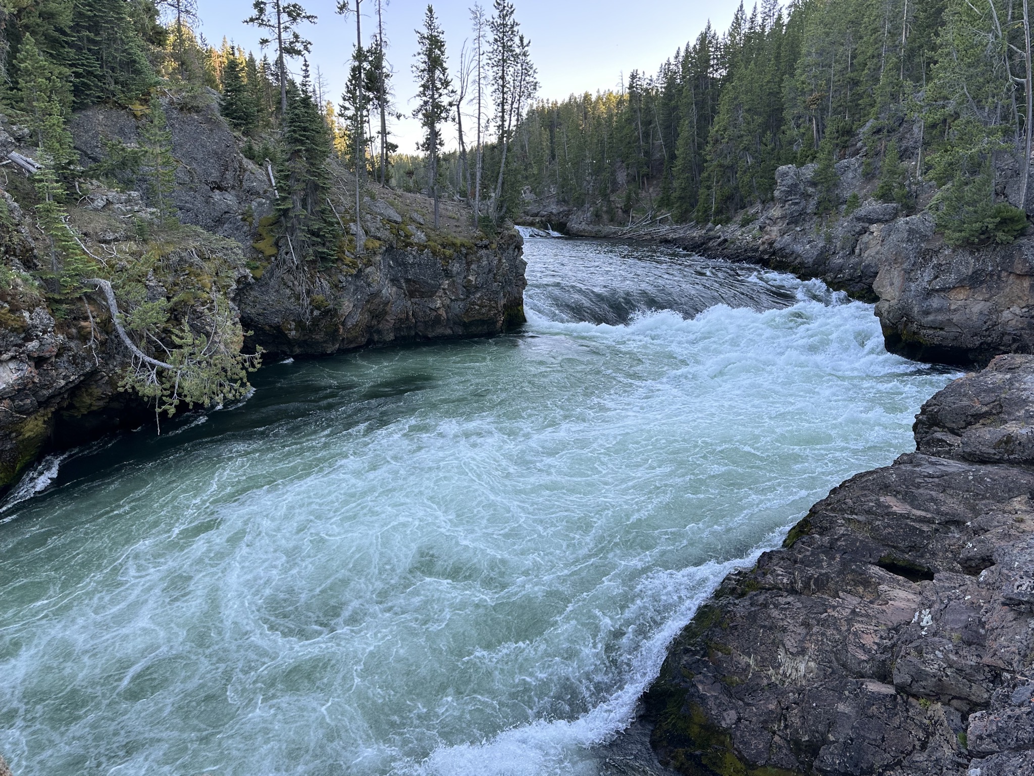 Grand Canyon of Yellowstone