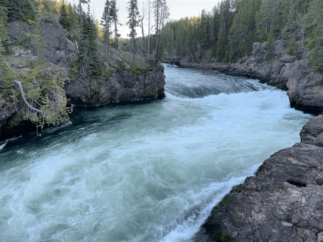 Grand Canyon of Yellowstone