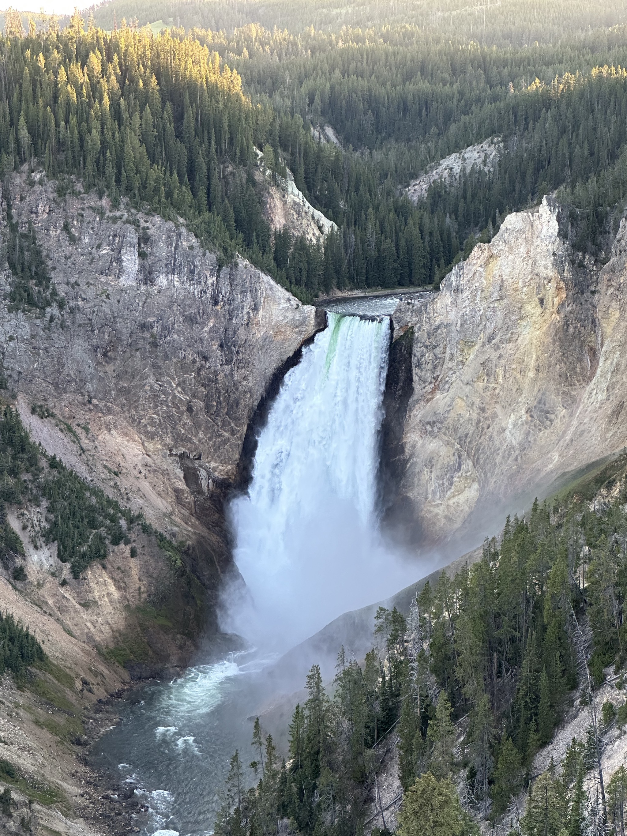 Grand Canyon of Yellowstone