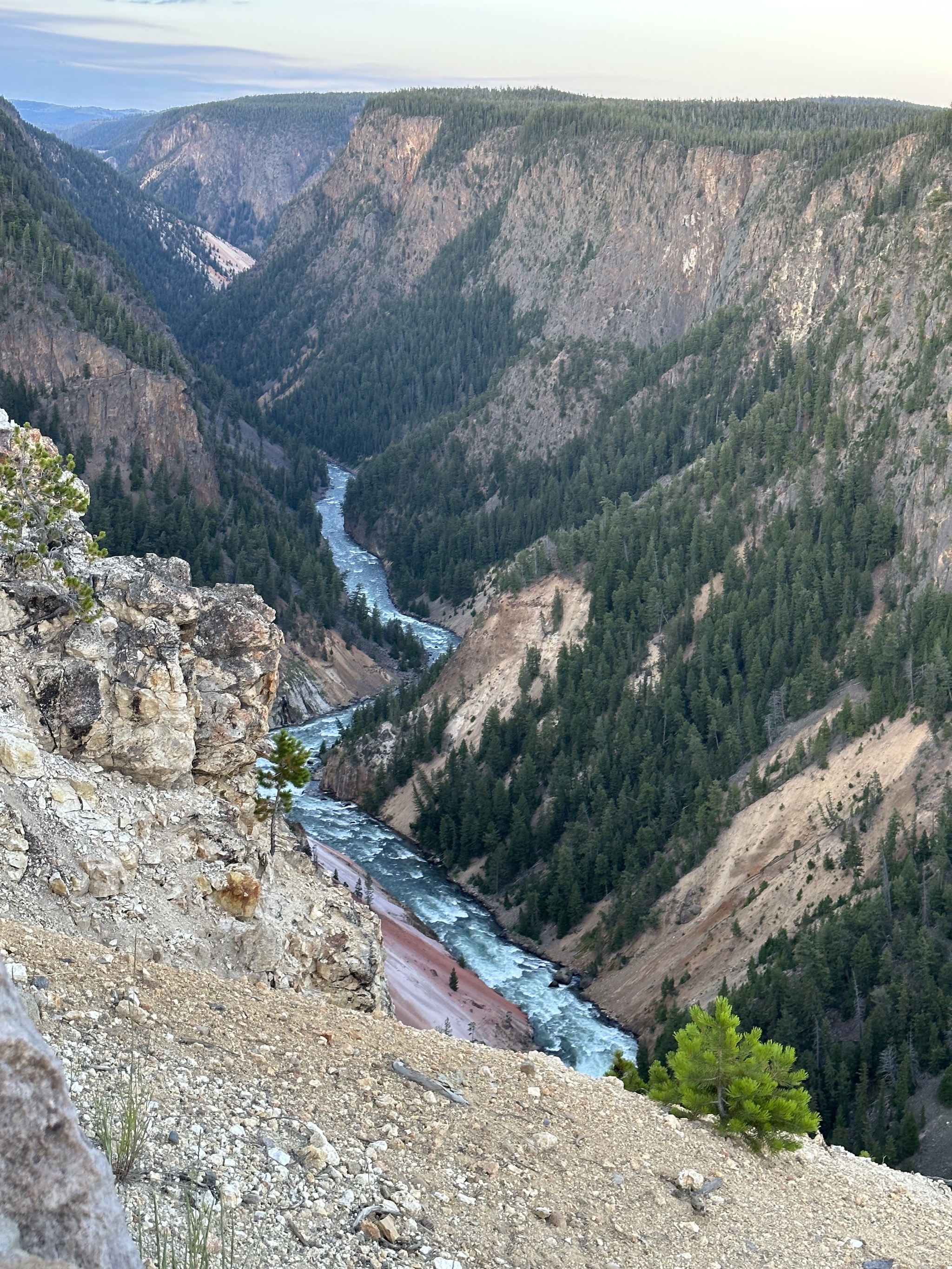 Grand Canyon of Yellowstone