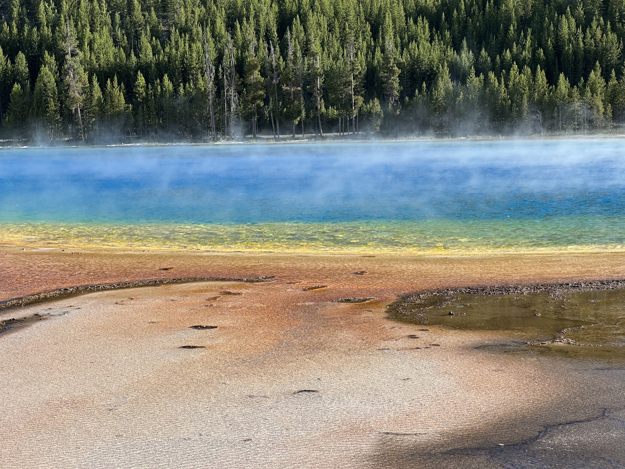 Grand Prismatic Spring