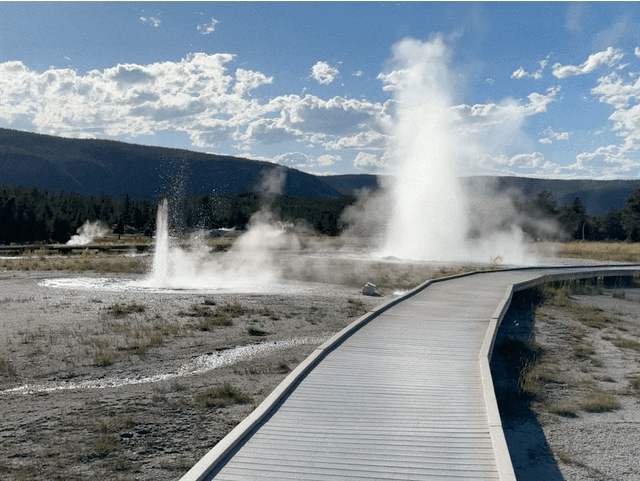 Geyser