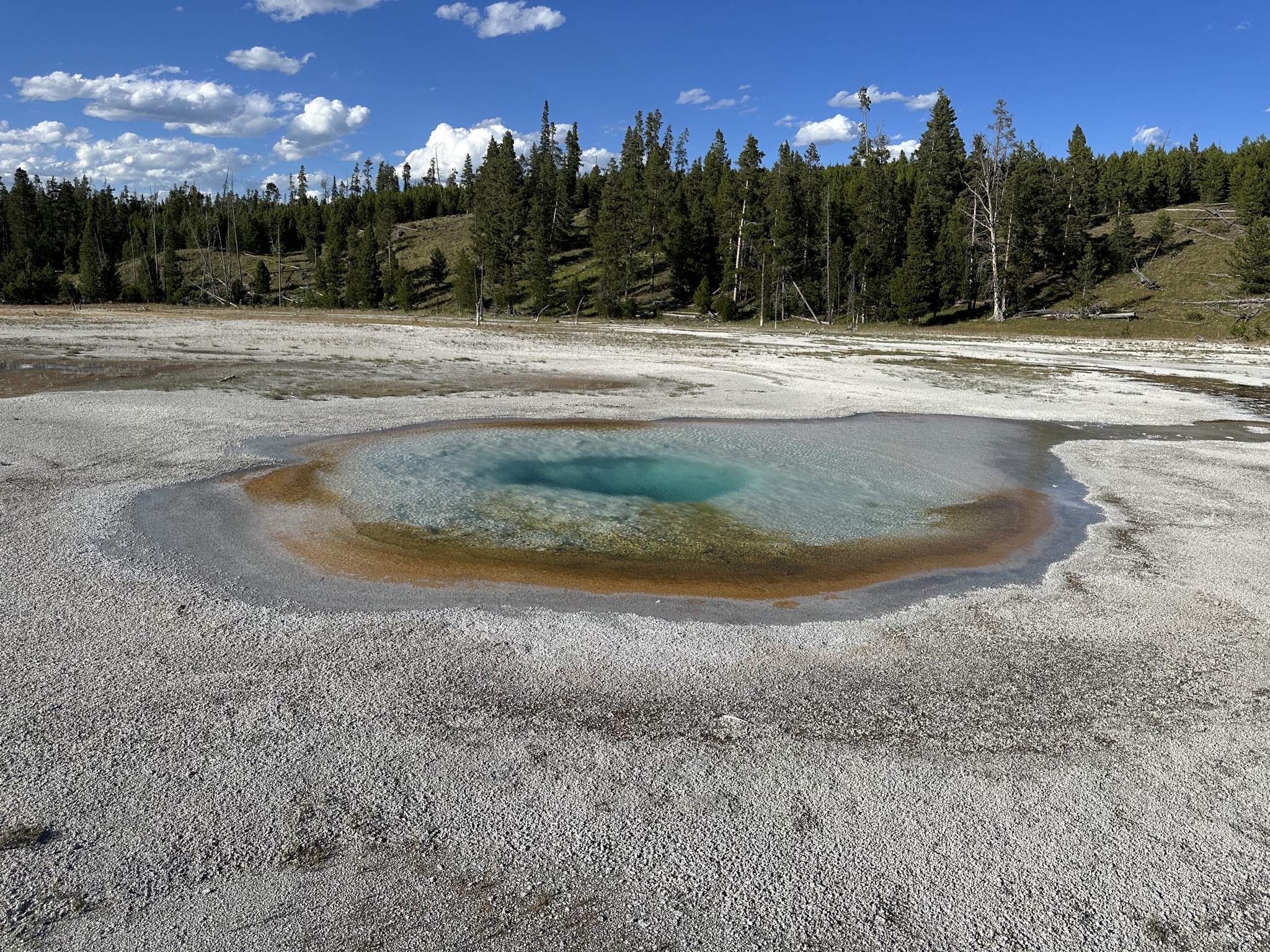 Geyser