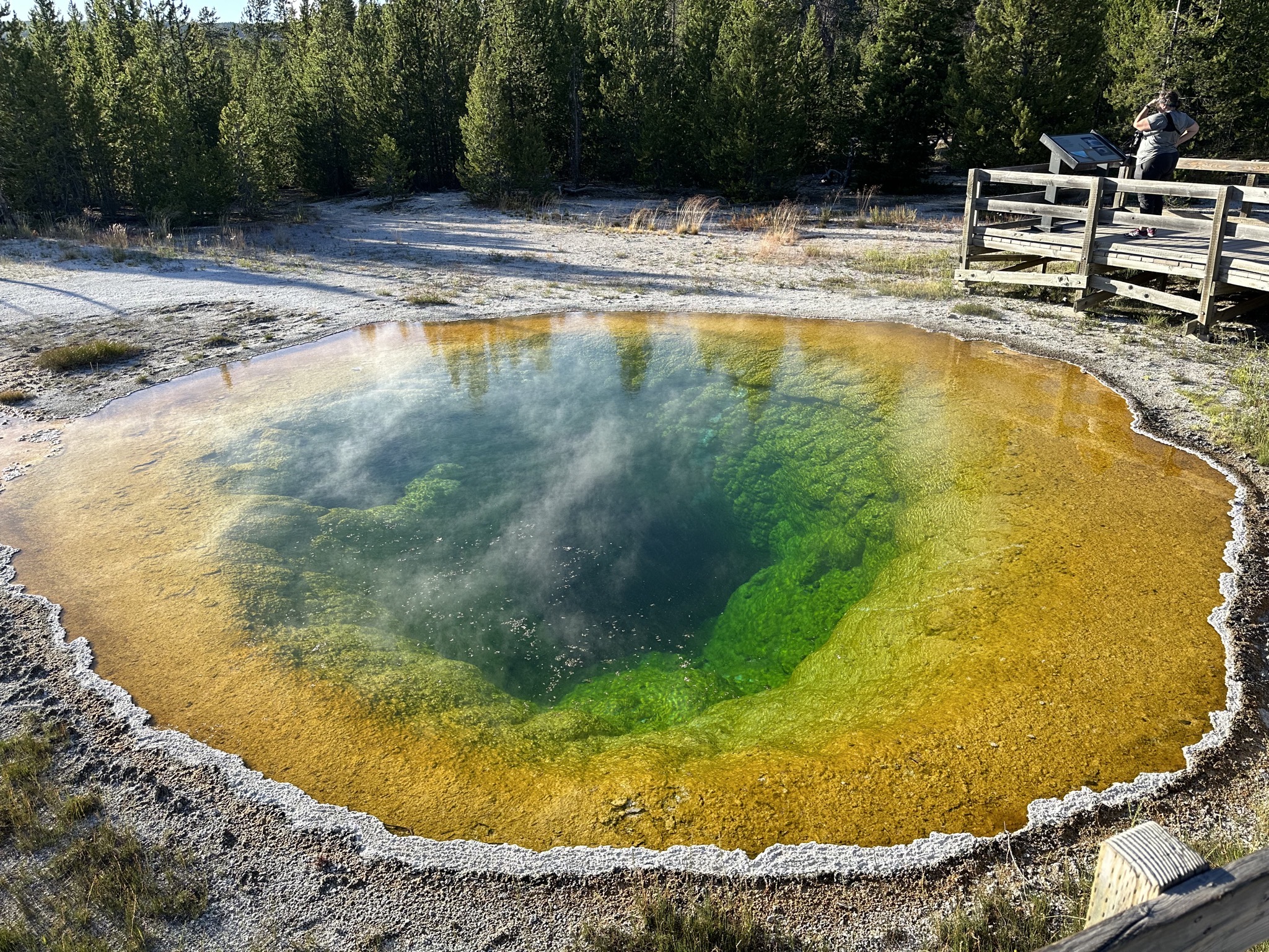 Geyser