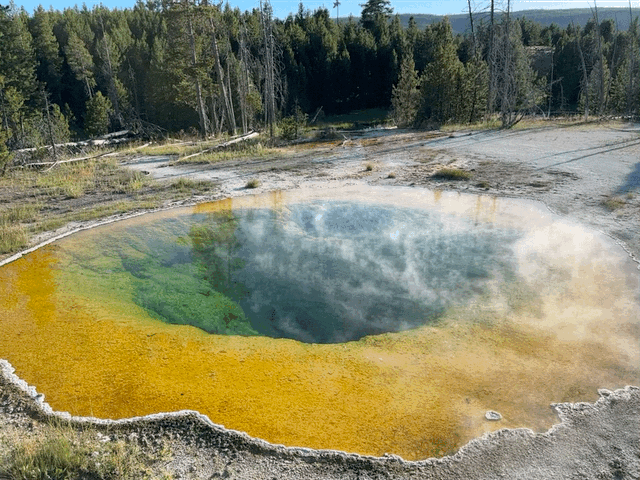 Geyser