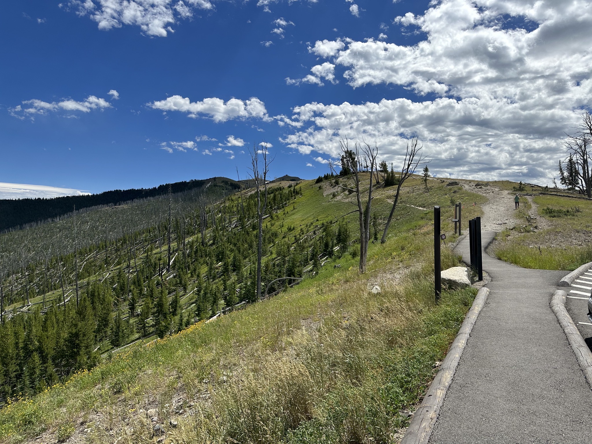 Mount Washburn