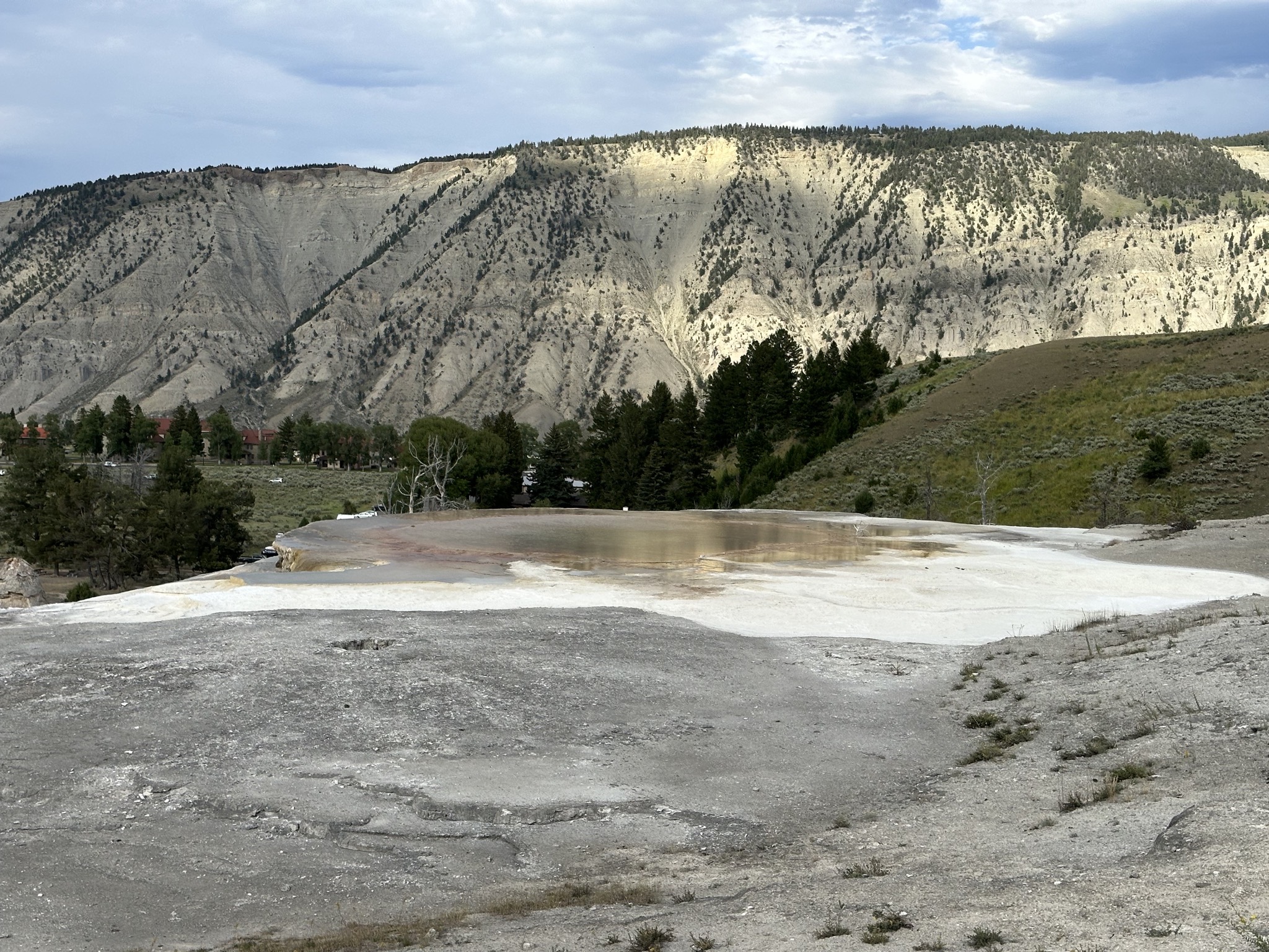 Mammoth