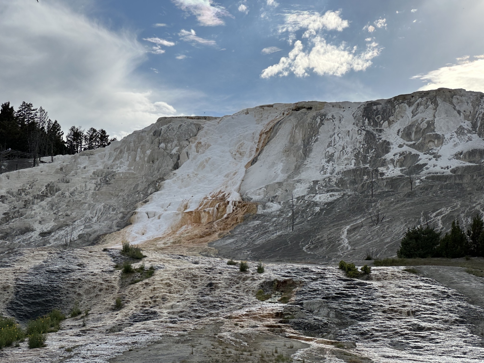 Mammoth