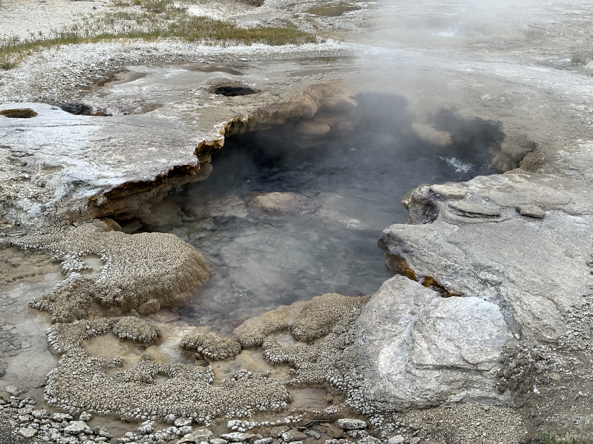 Geyser