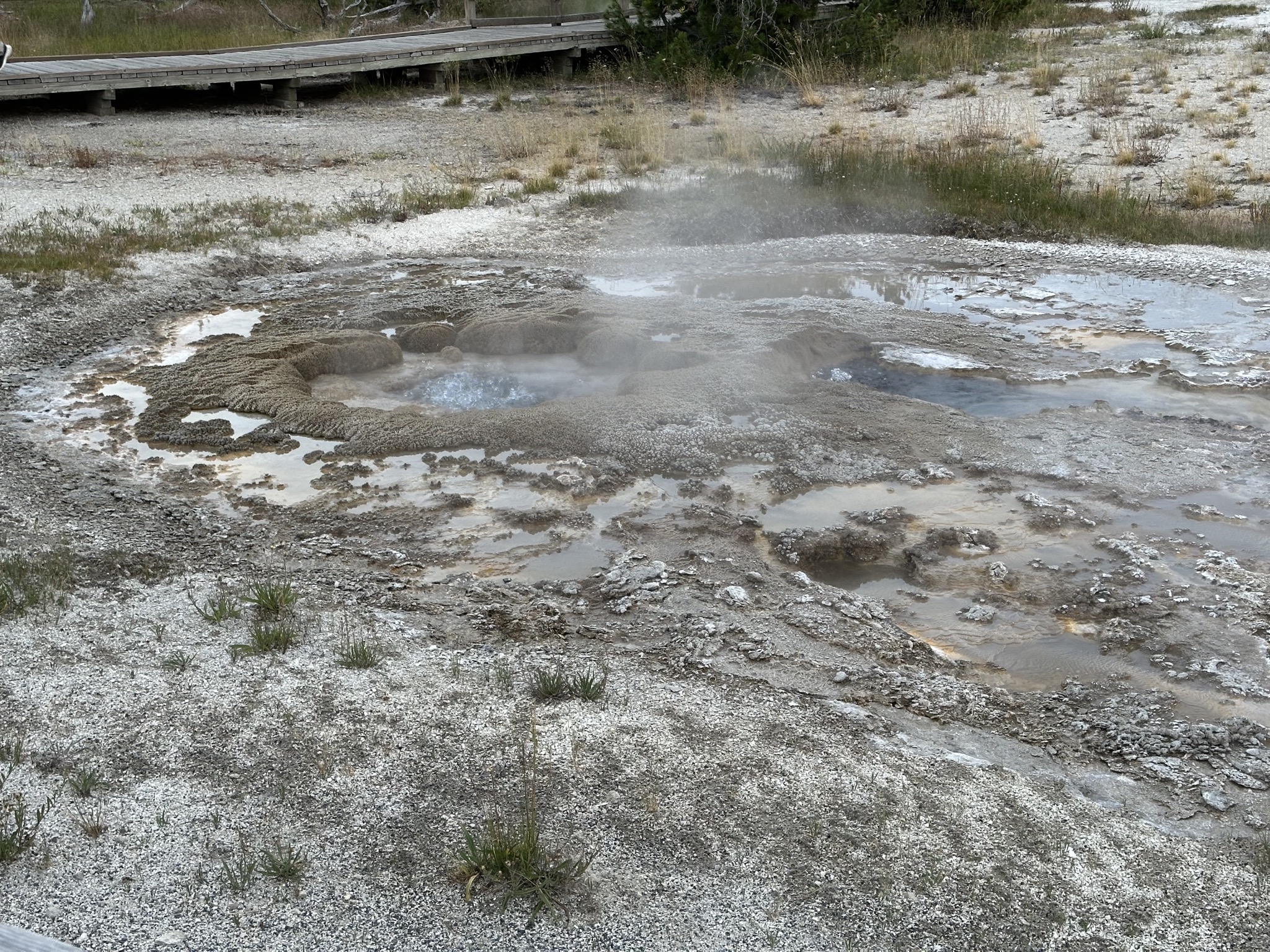 Geyser