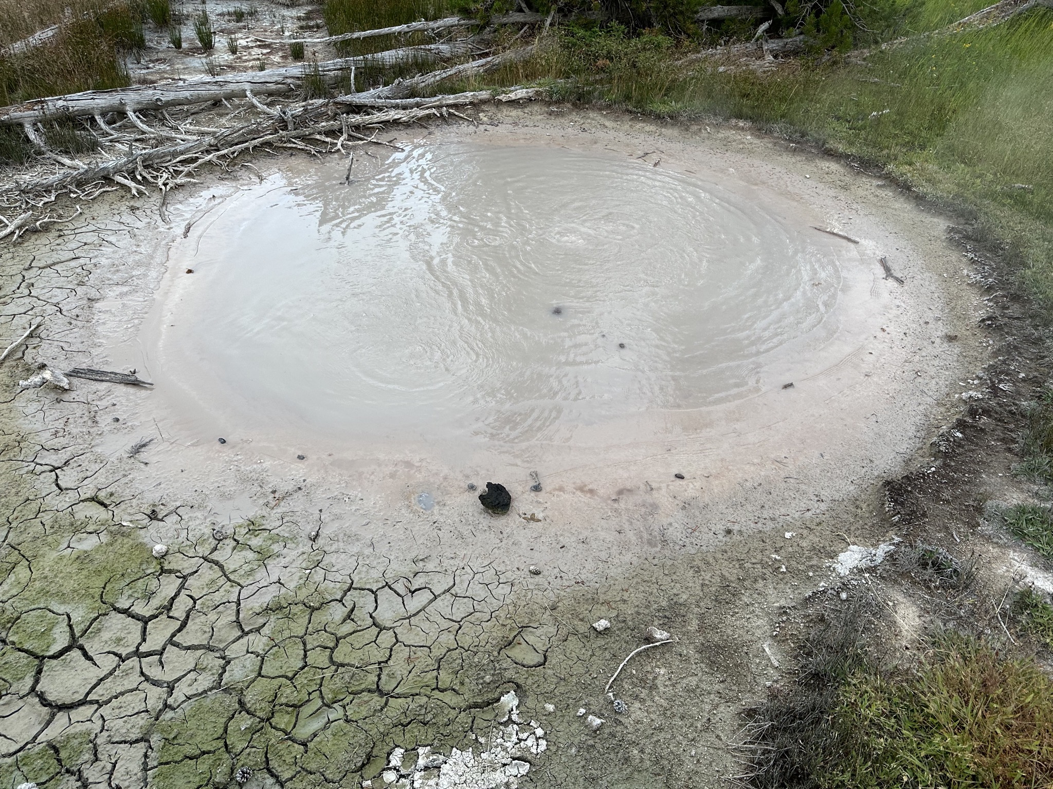 Geyser