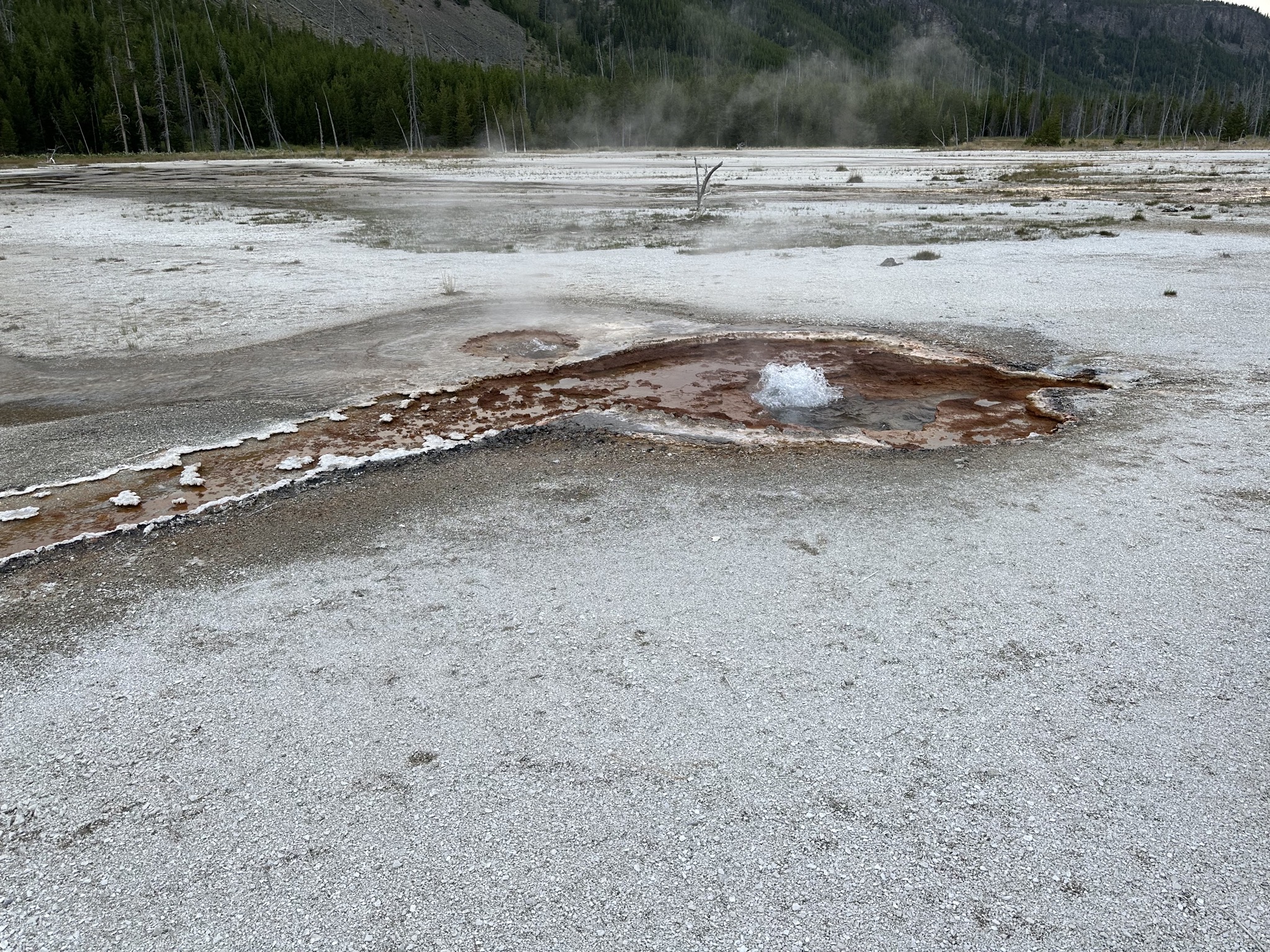 Geyser