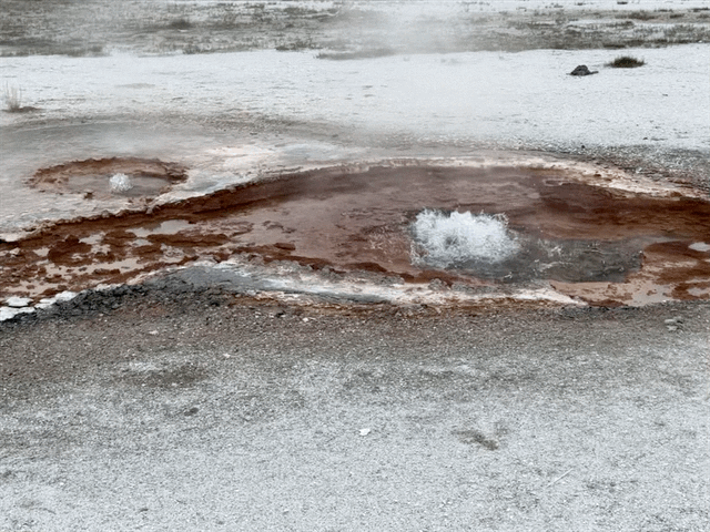 Geyser