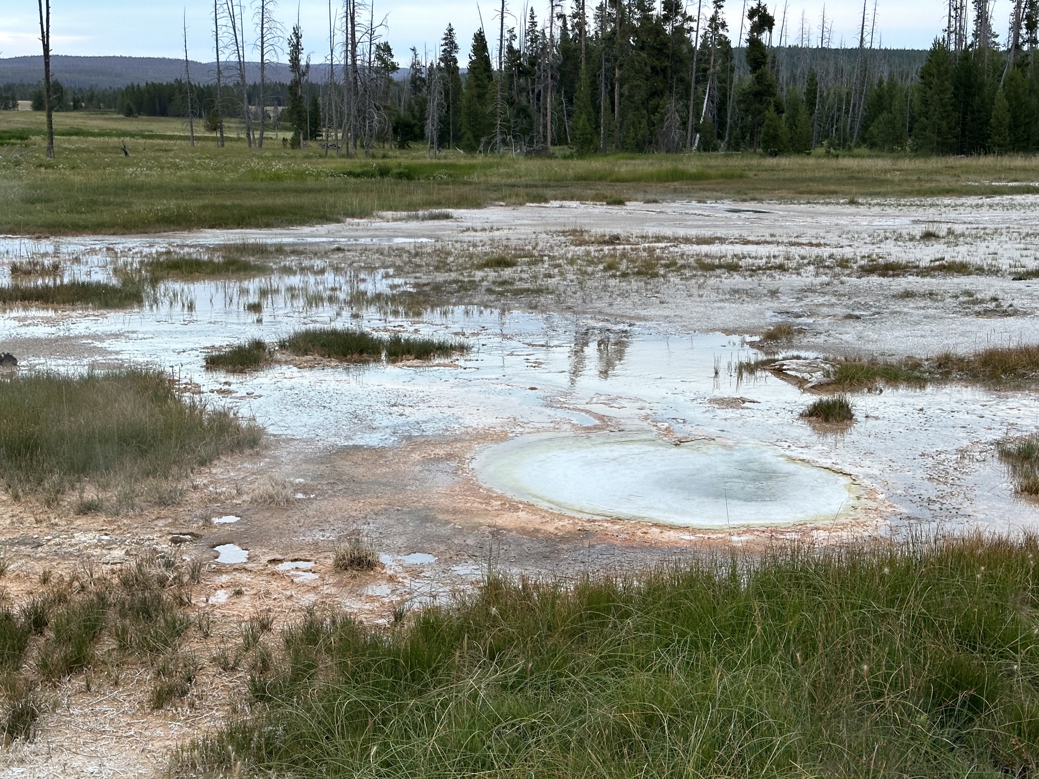 Geyser