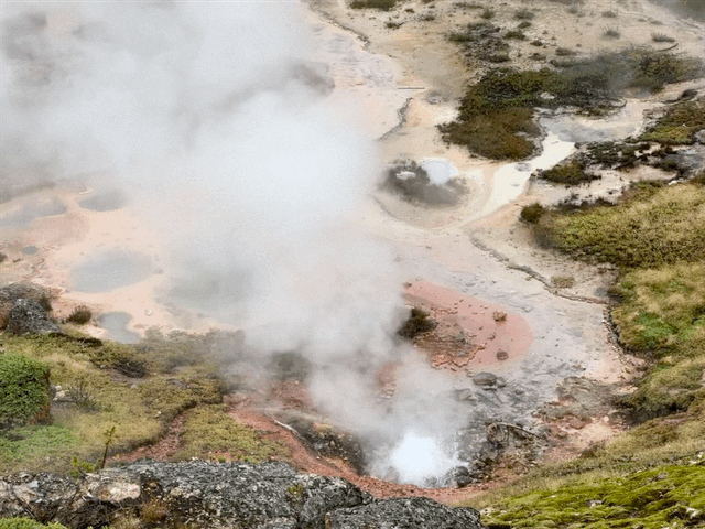 Artists' Paintpots