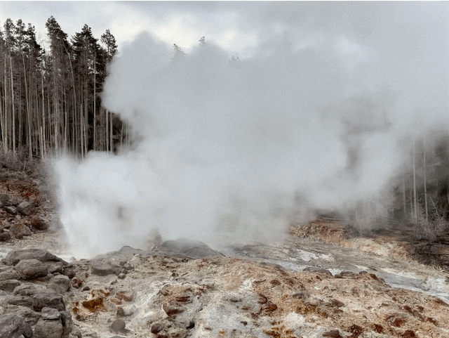 Norris Geyser Basin
