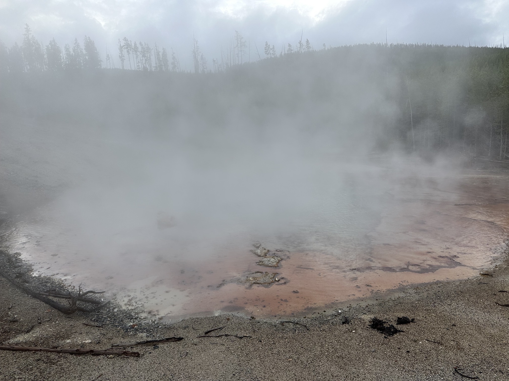 Norris Geyser Basin