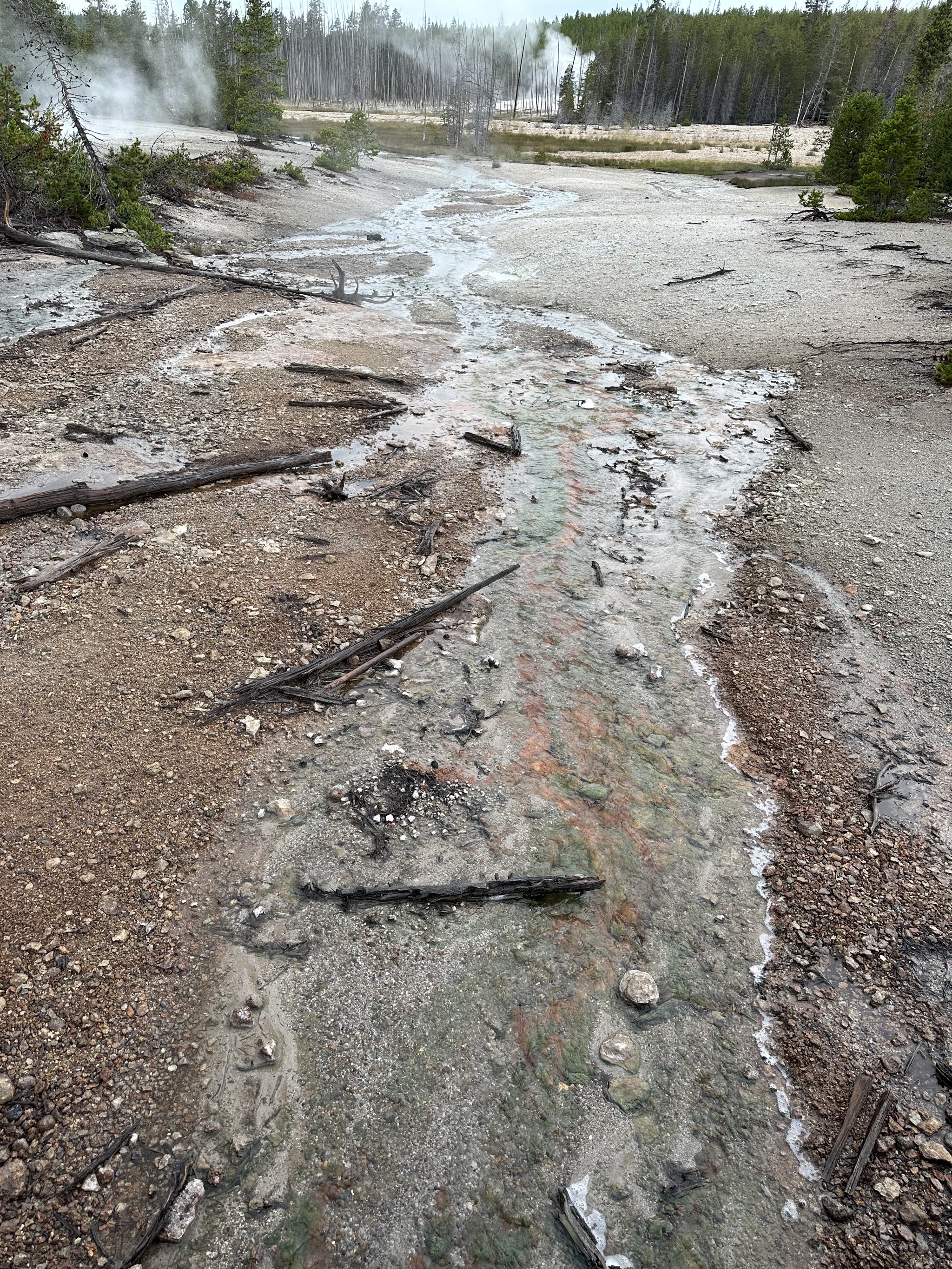 Norris Geyser Basin