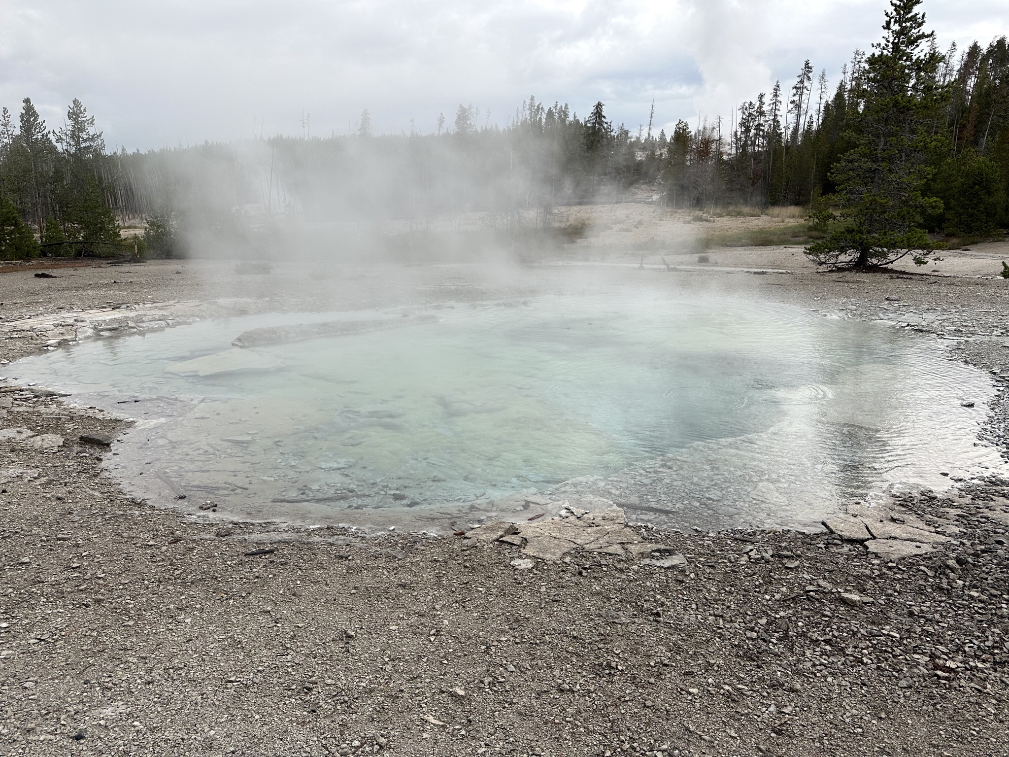 Norris Geyser Basin