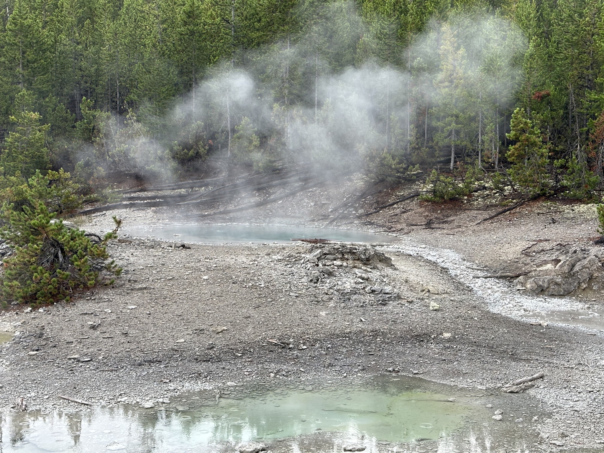 Norris Geyser Basin