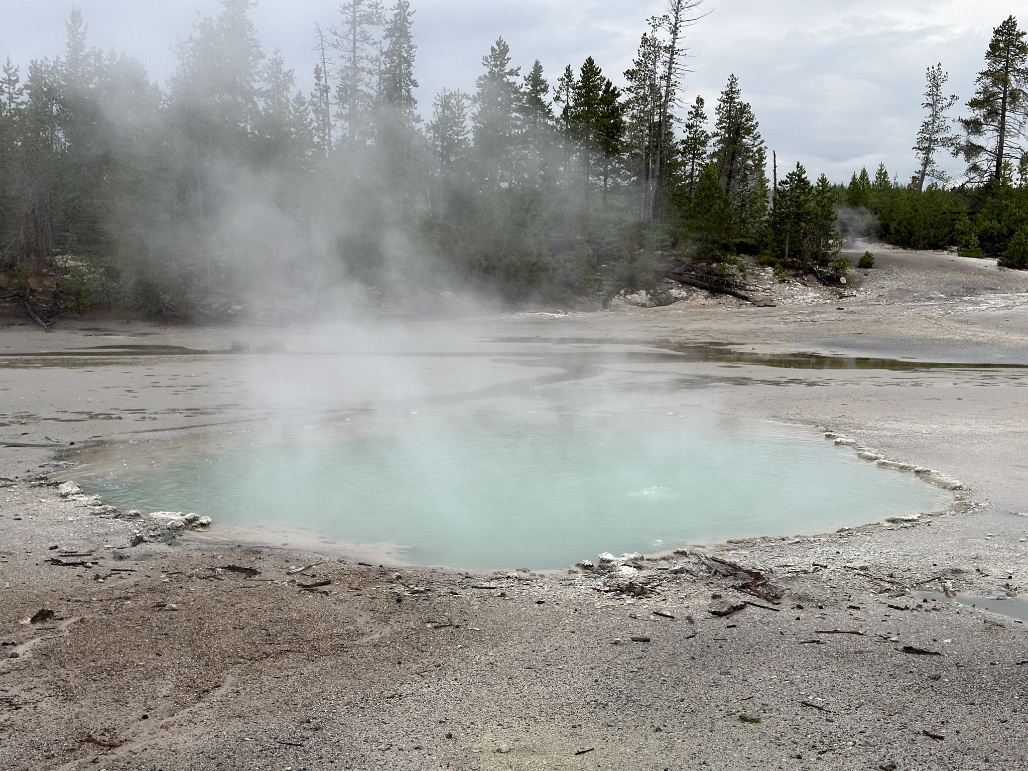 Norris Geyser Basin