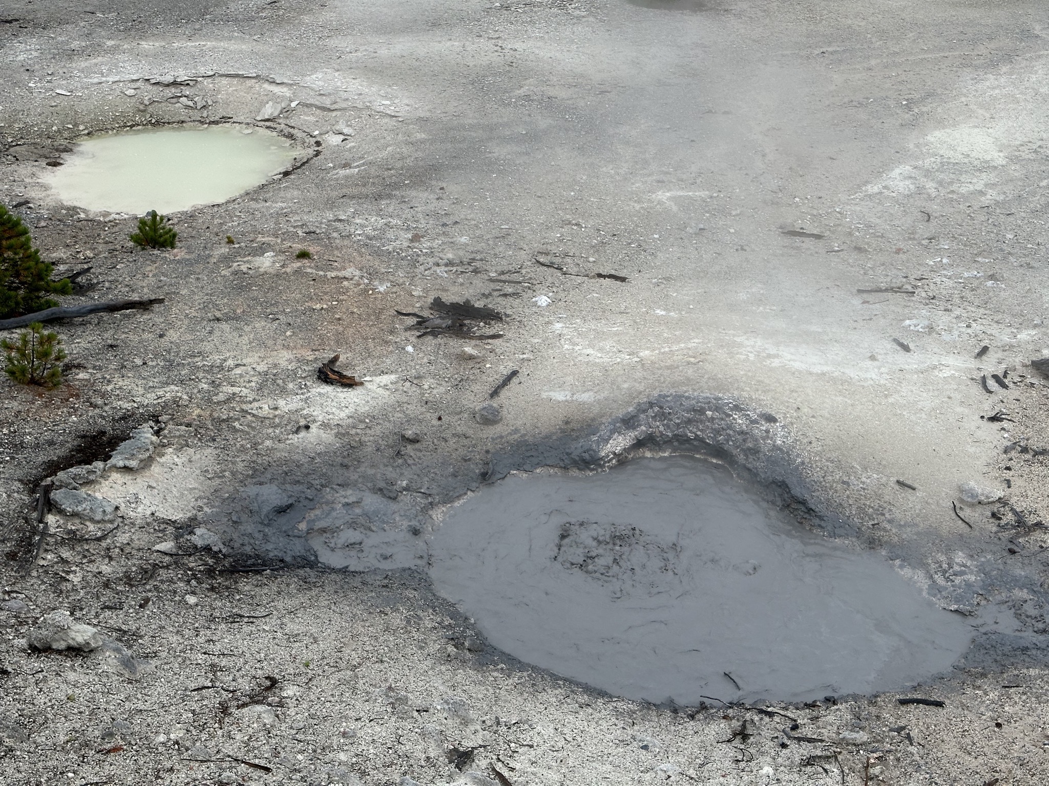 Norris Geyser Basin