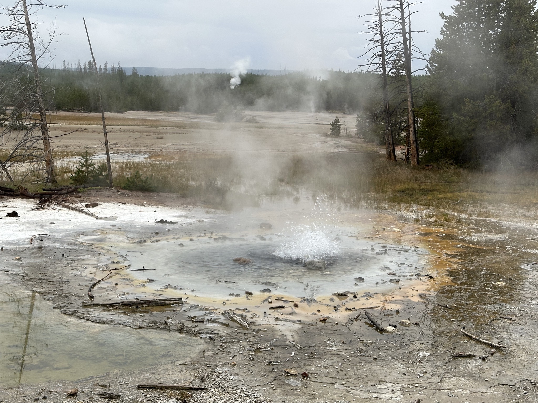 Norris Geyser Basin