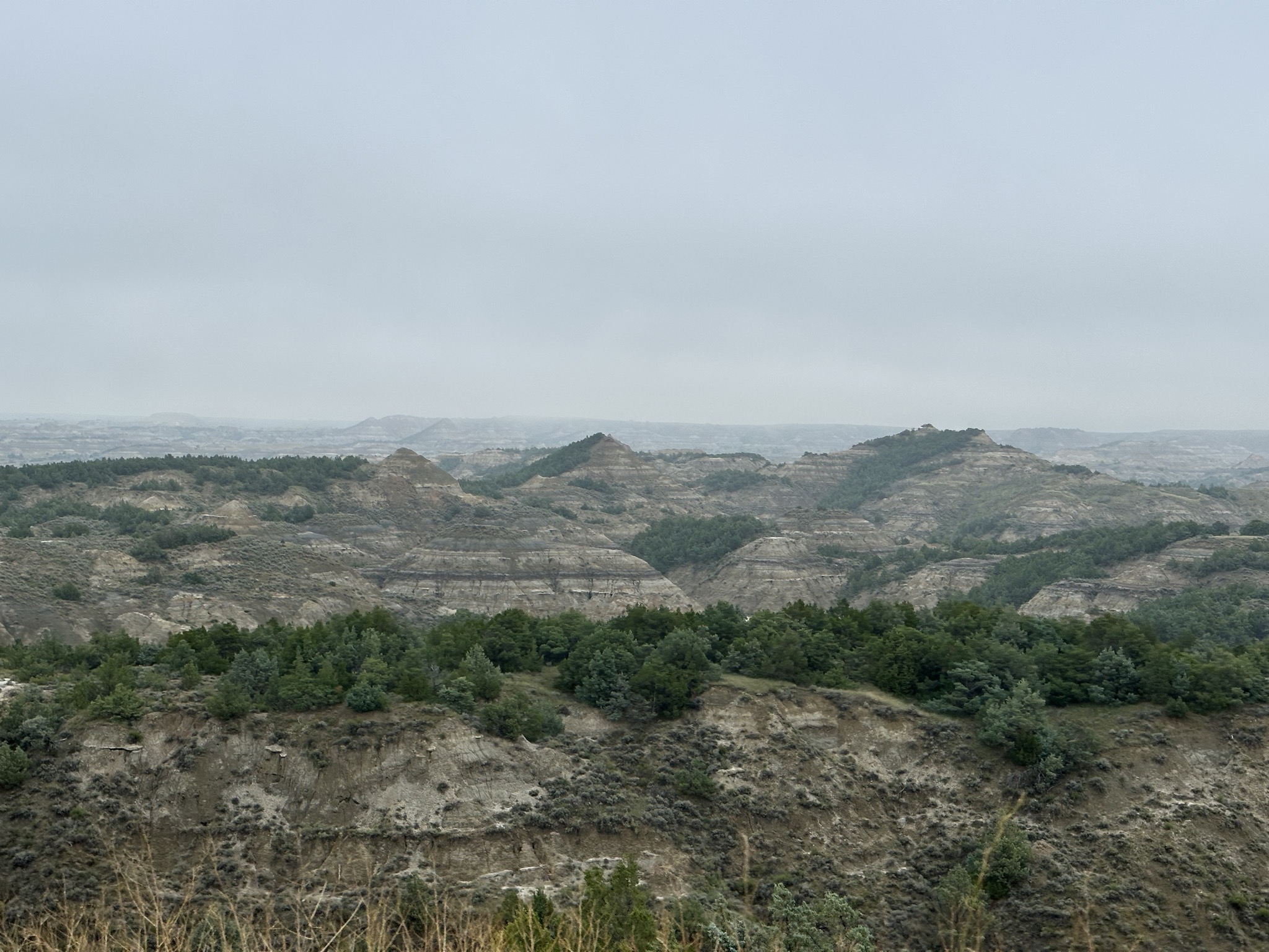 Scenery