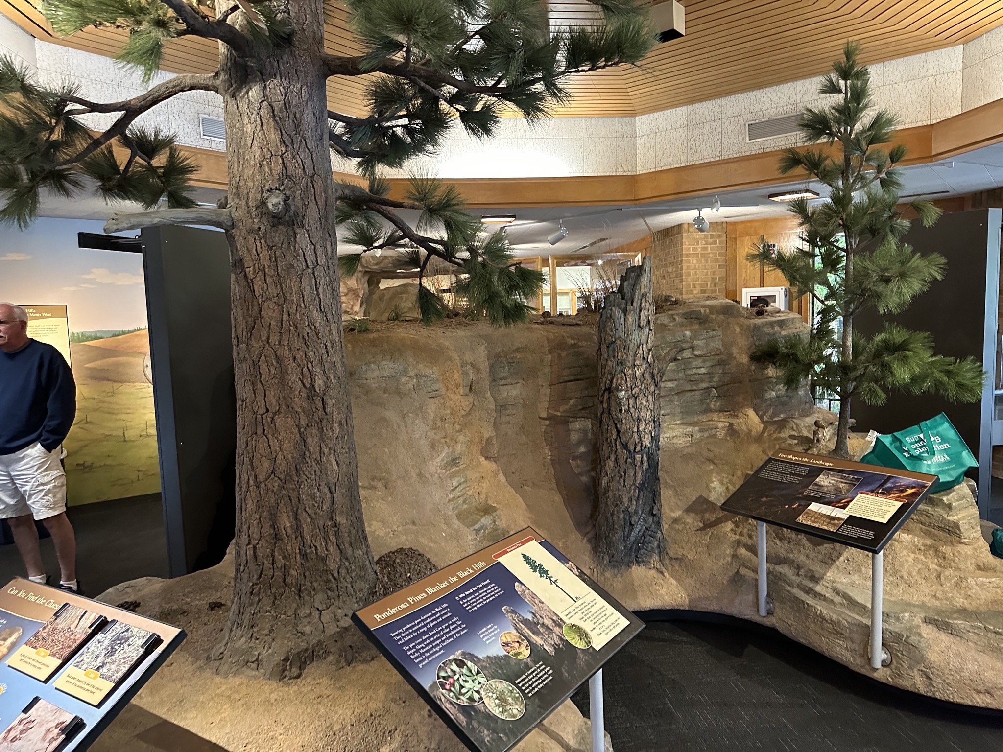 Exhibits