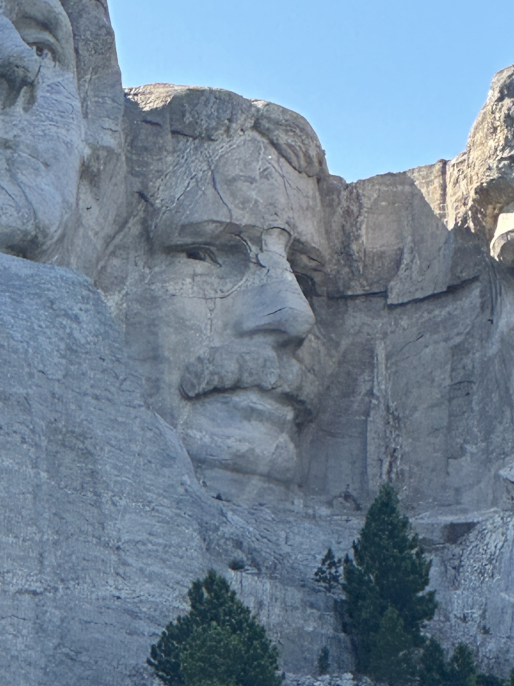 Theodore Roosevelt, 26th President of the United States