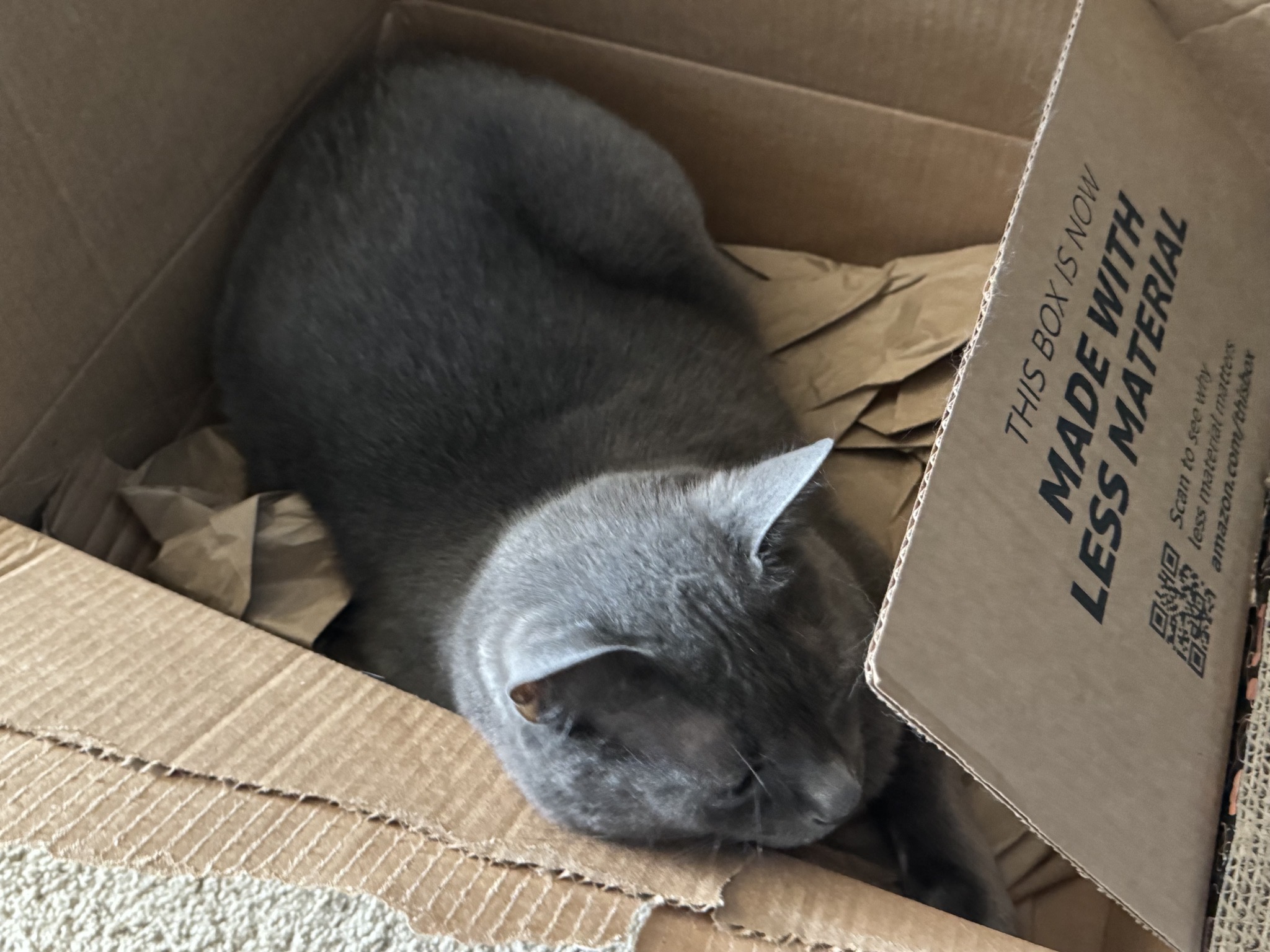 Paladin in a box