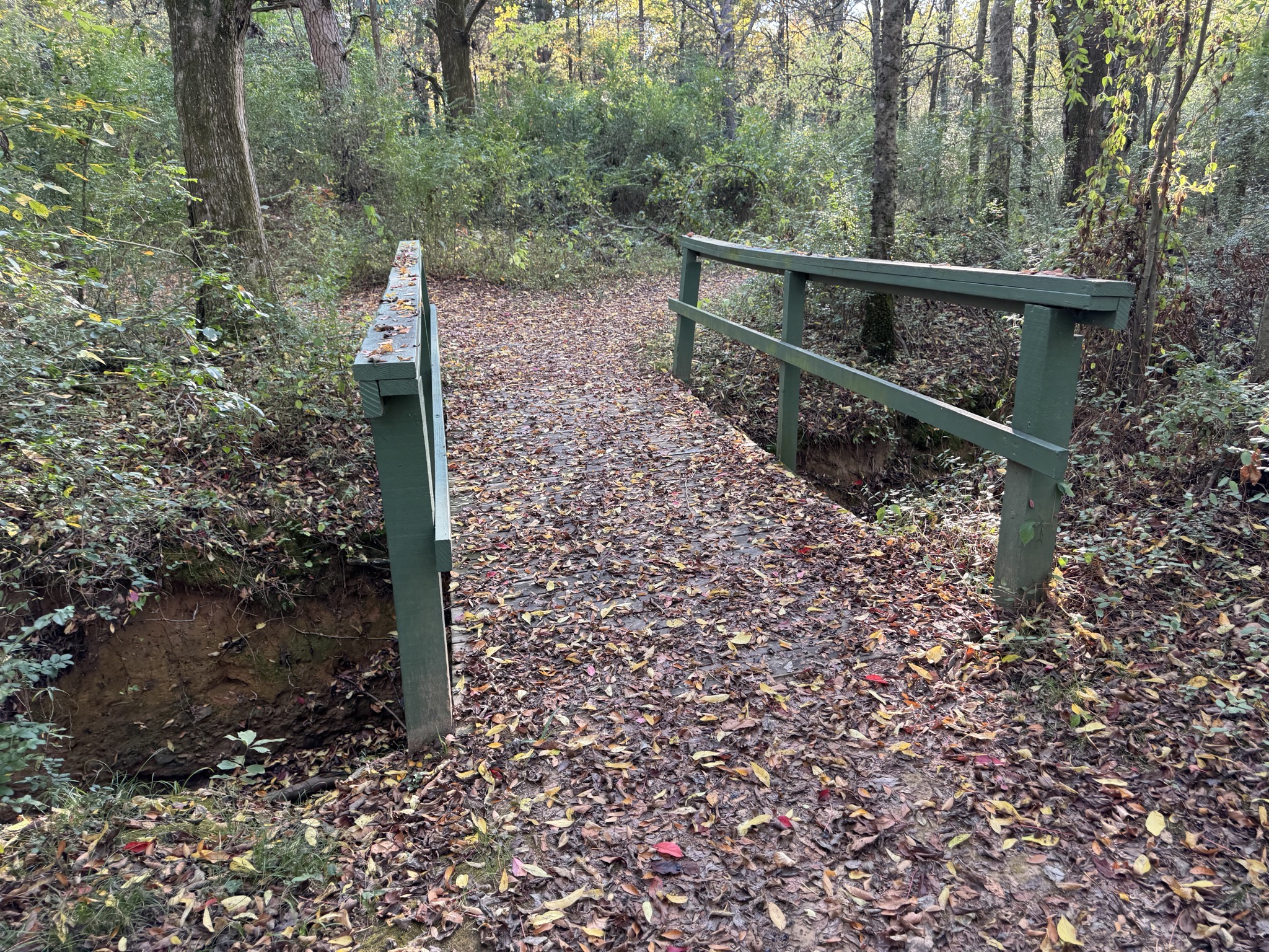 Meadowbrook trail