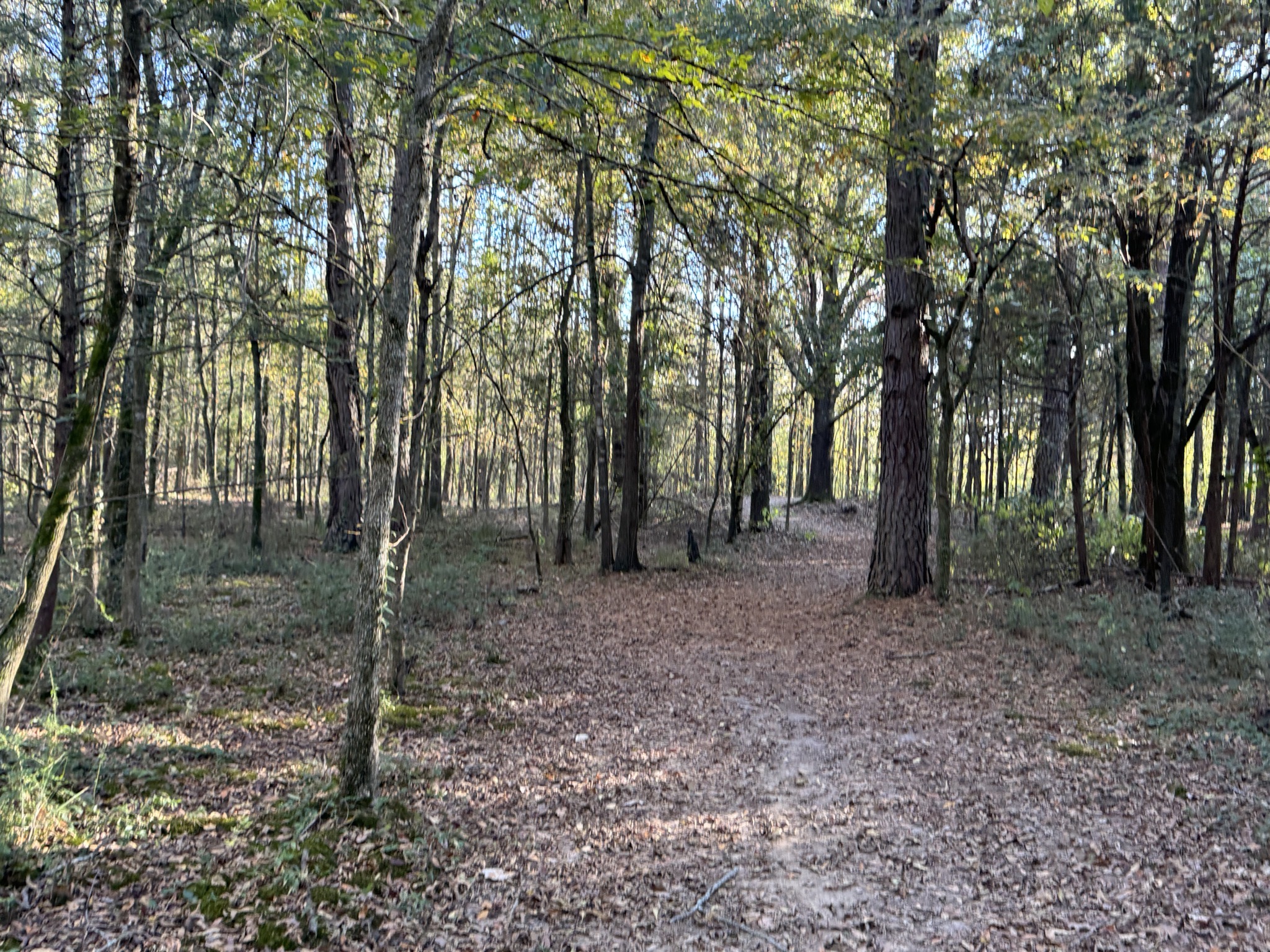 Meadowbrook trail