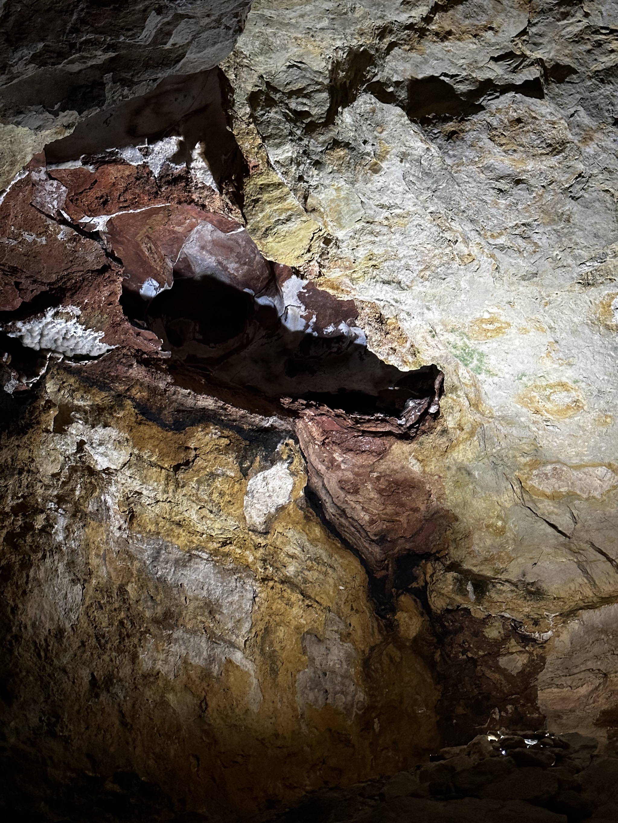 The jewels of Jewel Cave