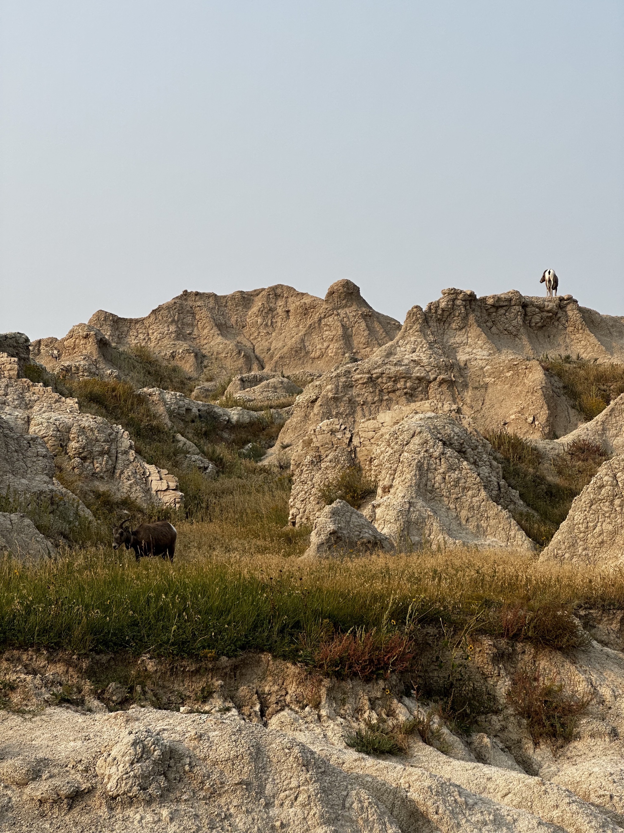 Badlands