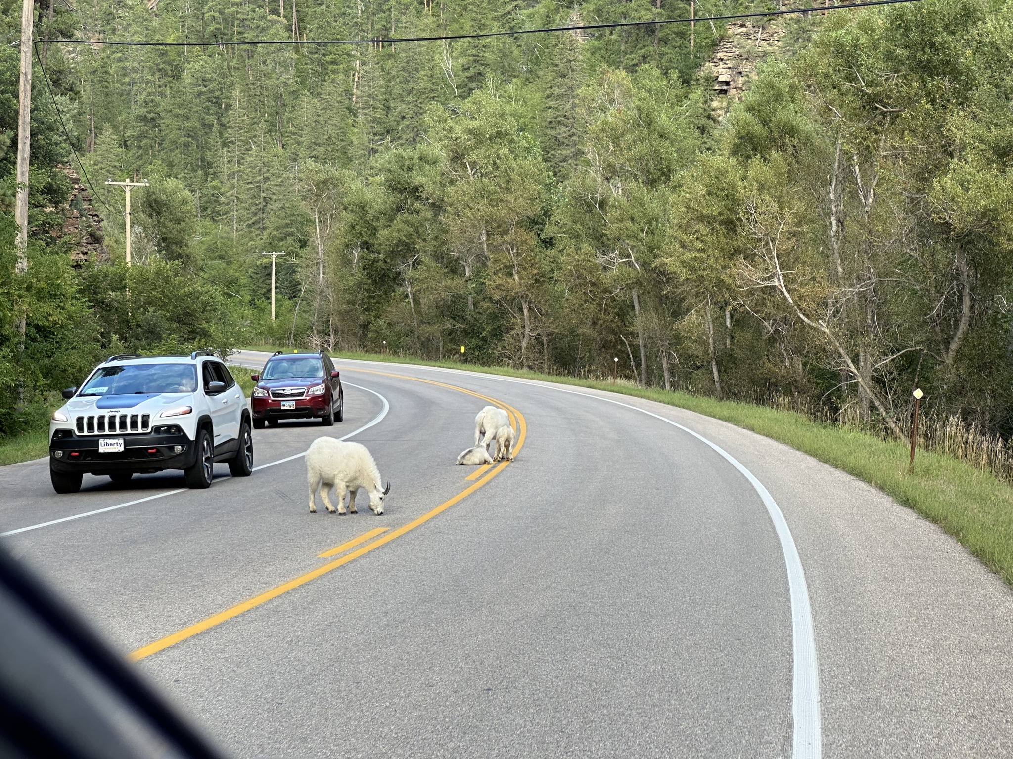Spearfish Canyon Highway