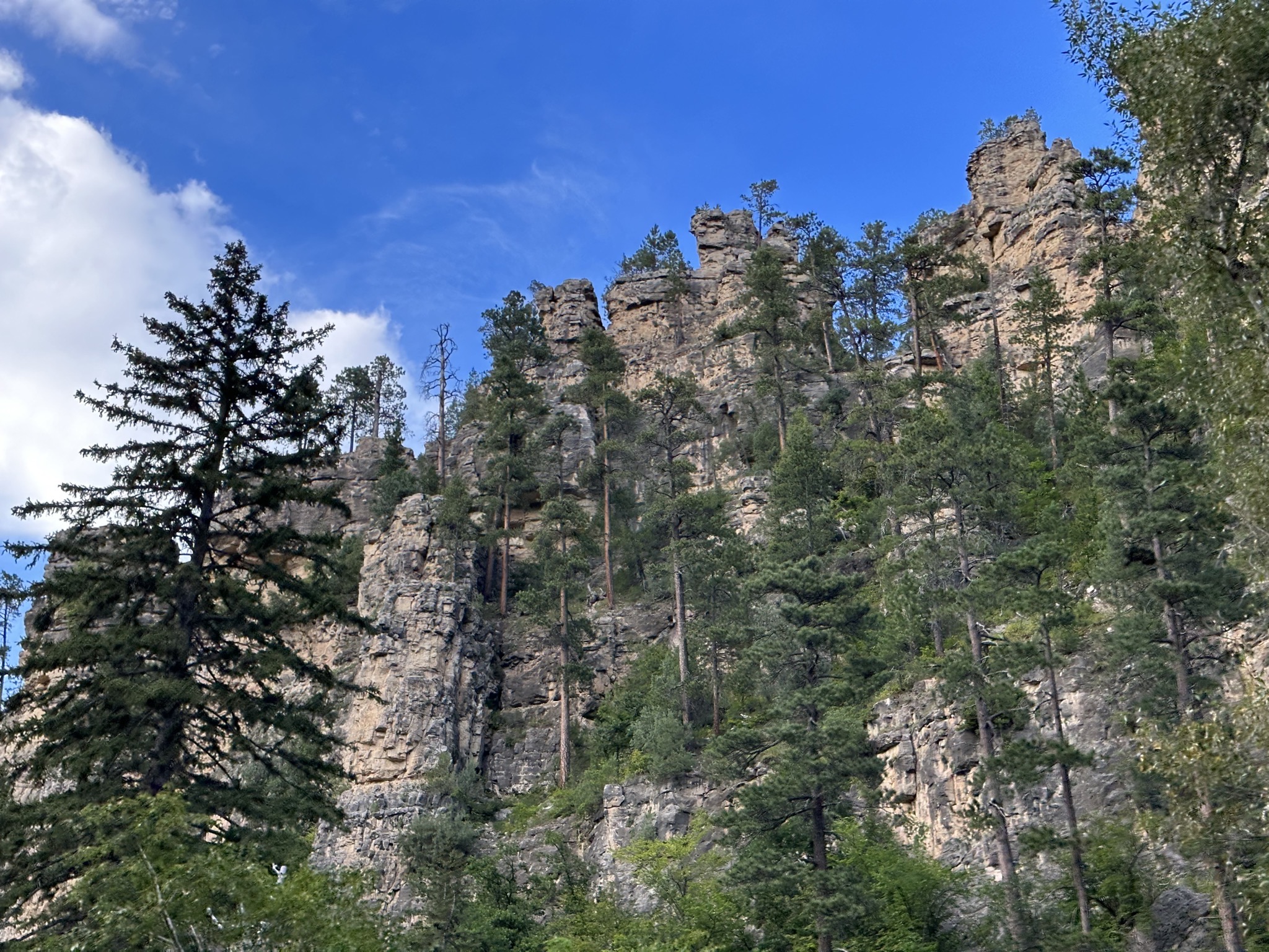 Spearfish Canyon Highway
