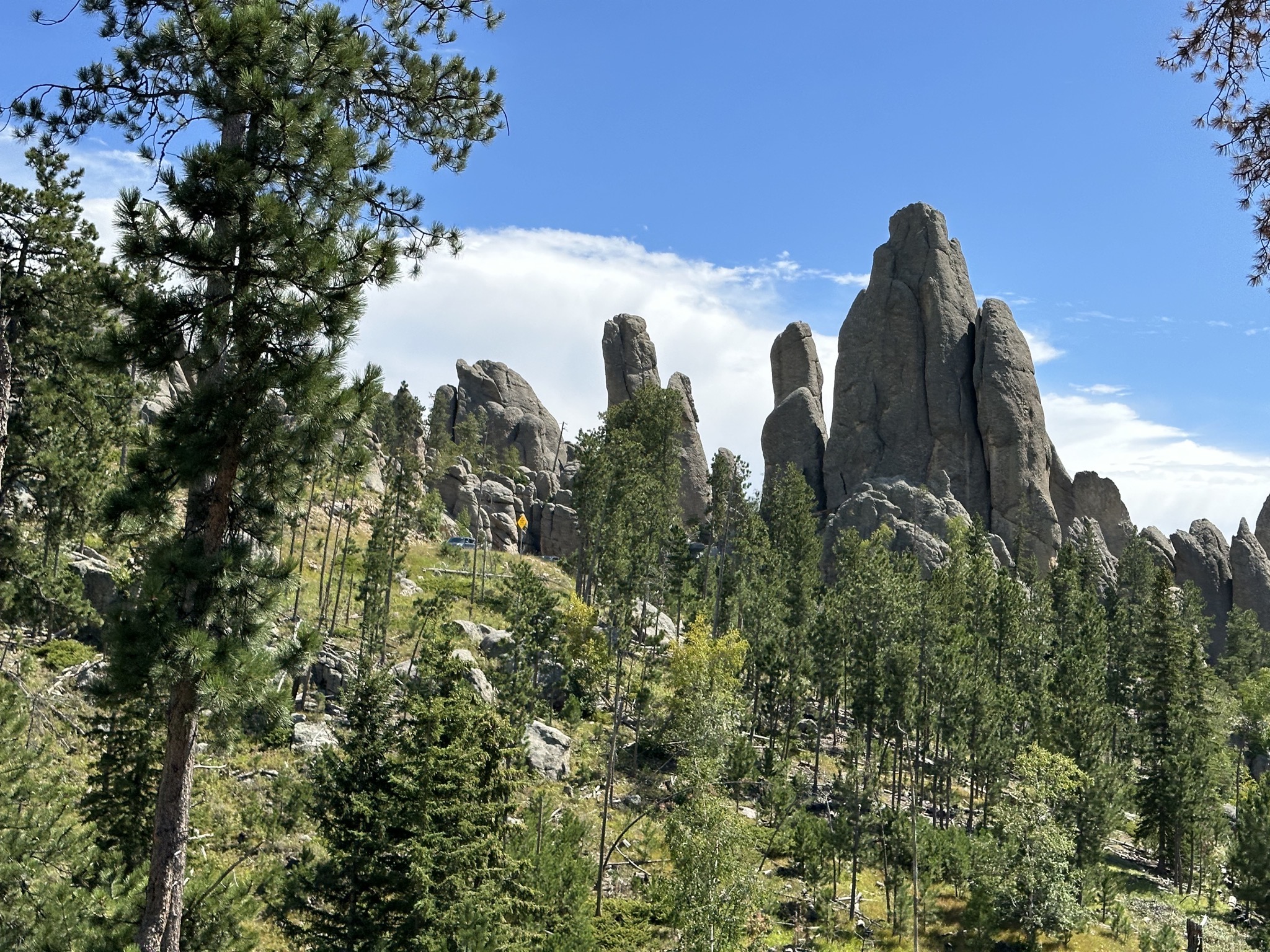 Custer State Park