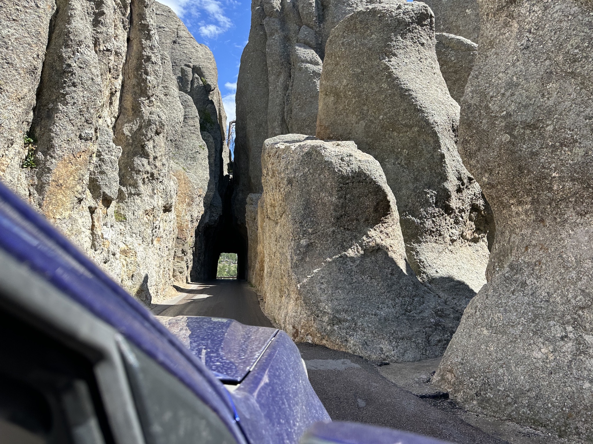 Custer State Park