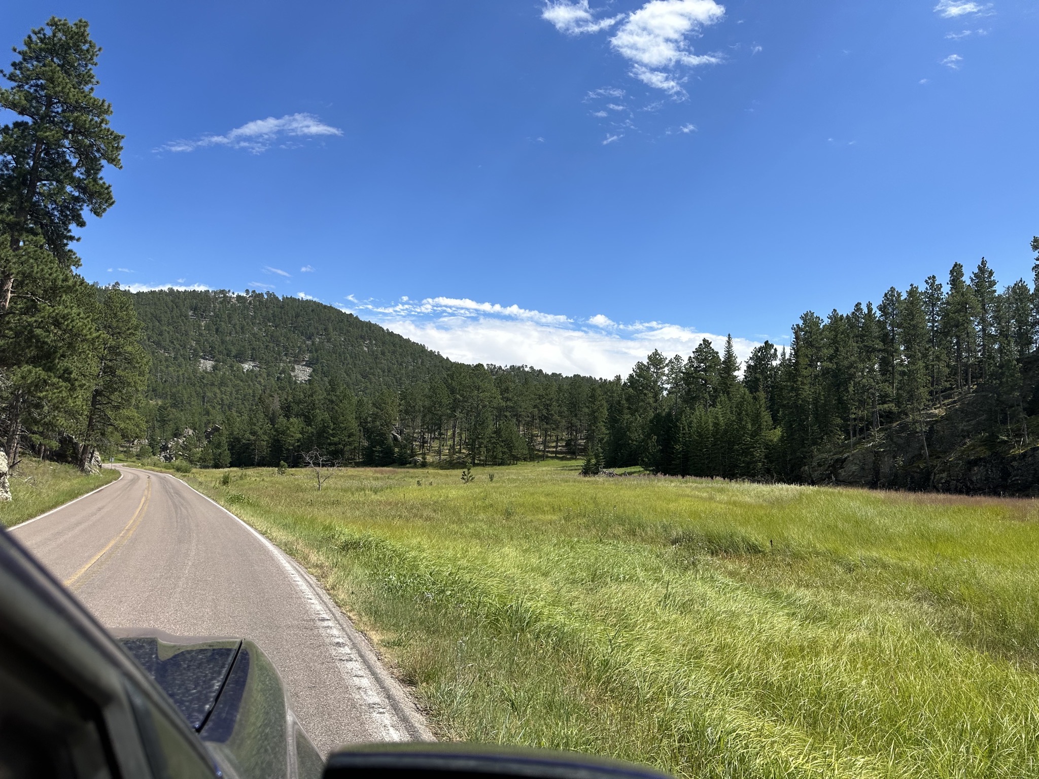 Custer State Park