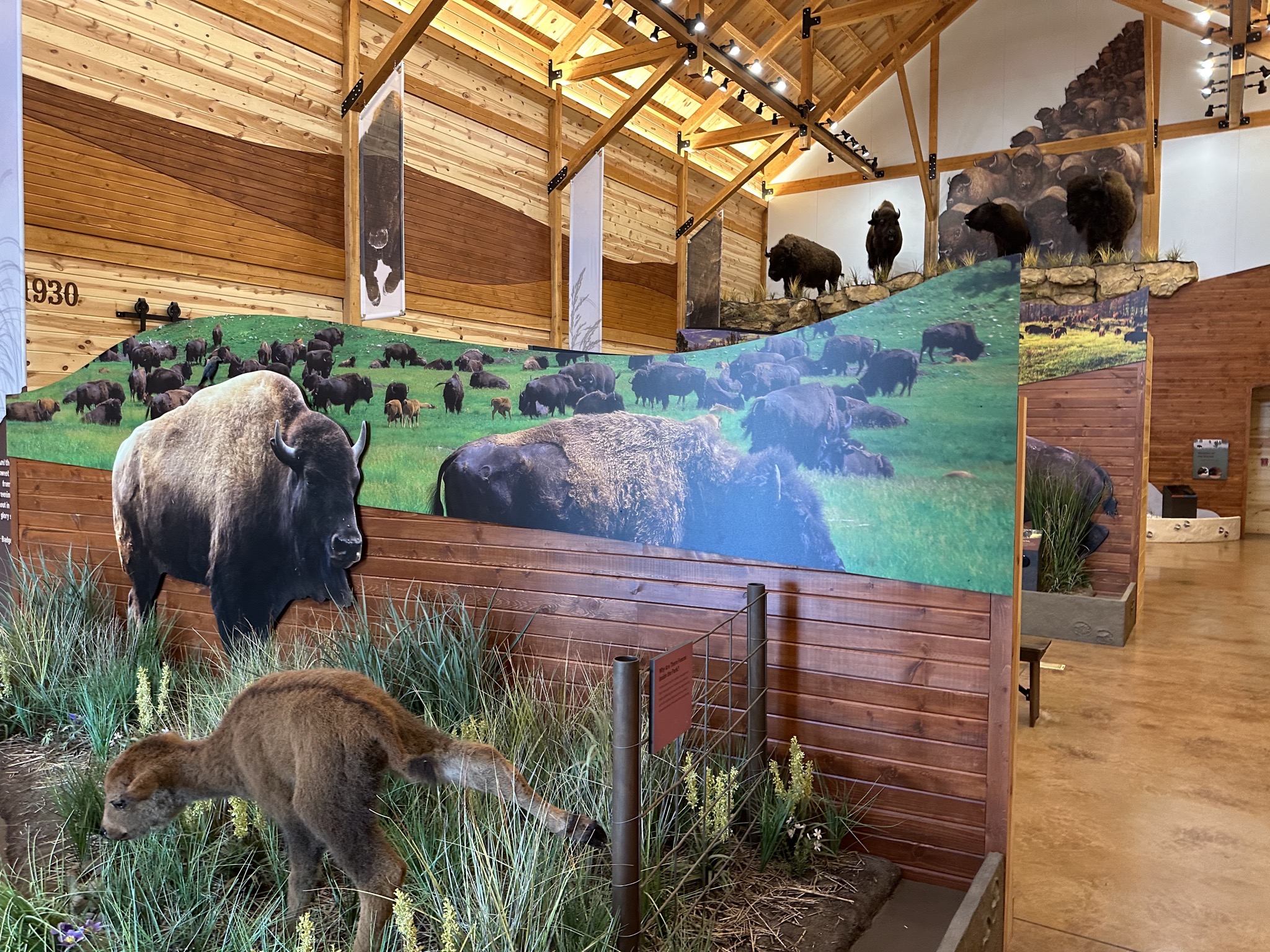 Bison Center