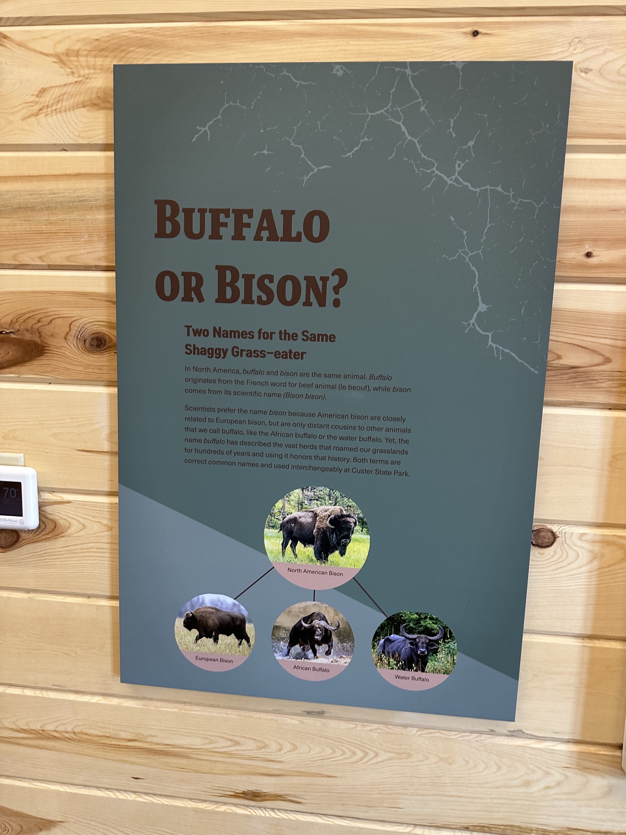 Bison Center
