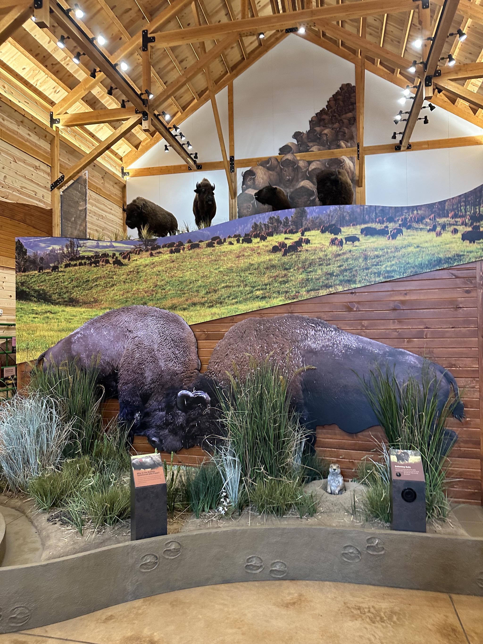 Bison Center