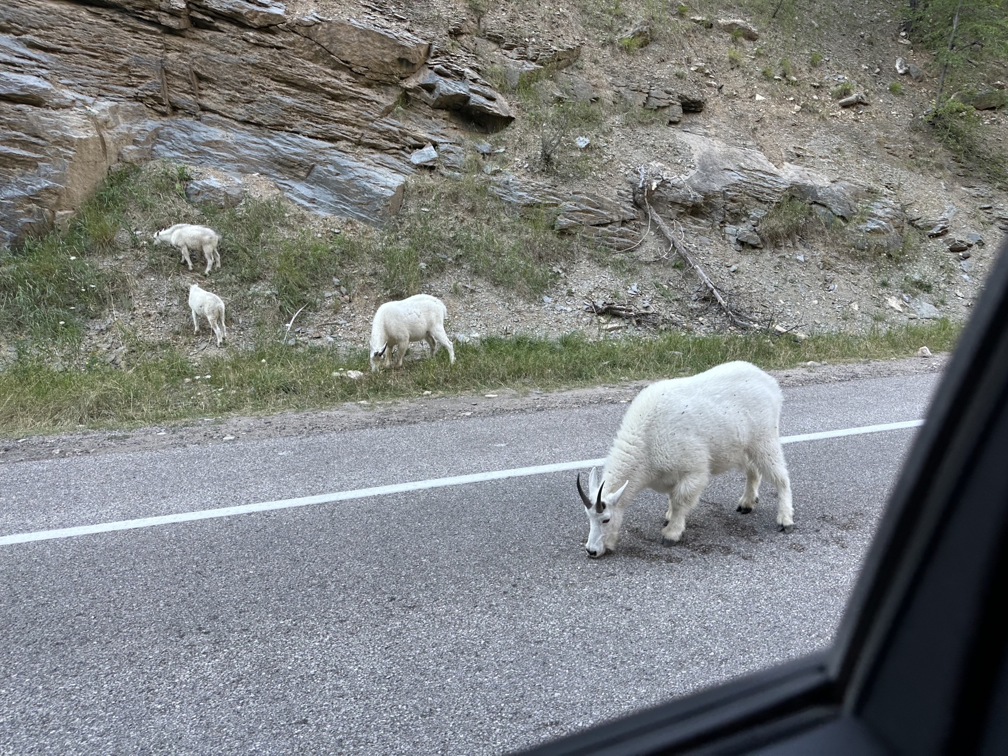 Spearfish Canyon Highway